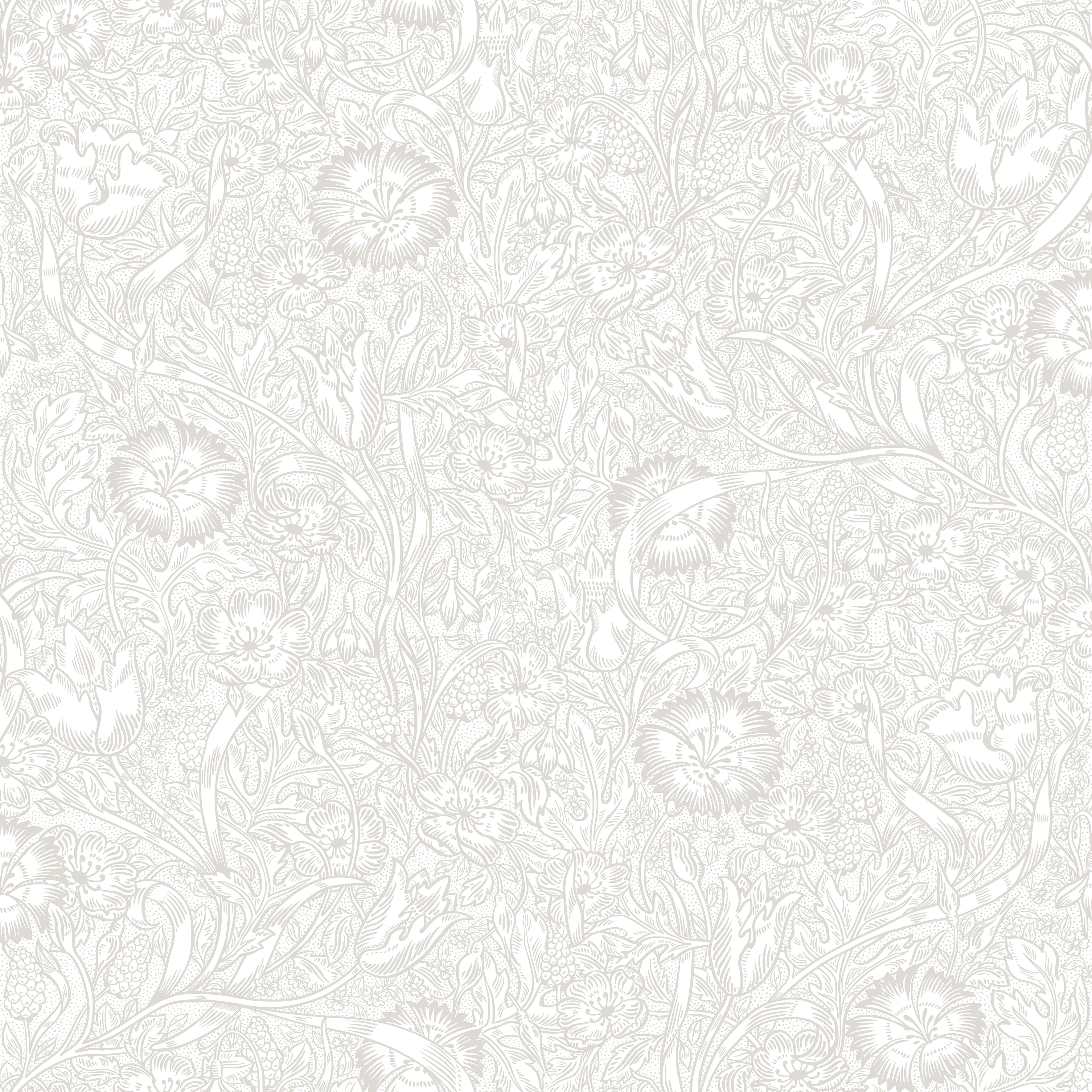 Caroline - Sandstone