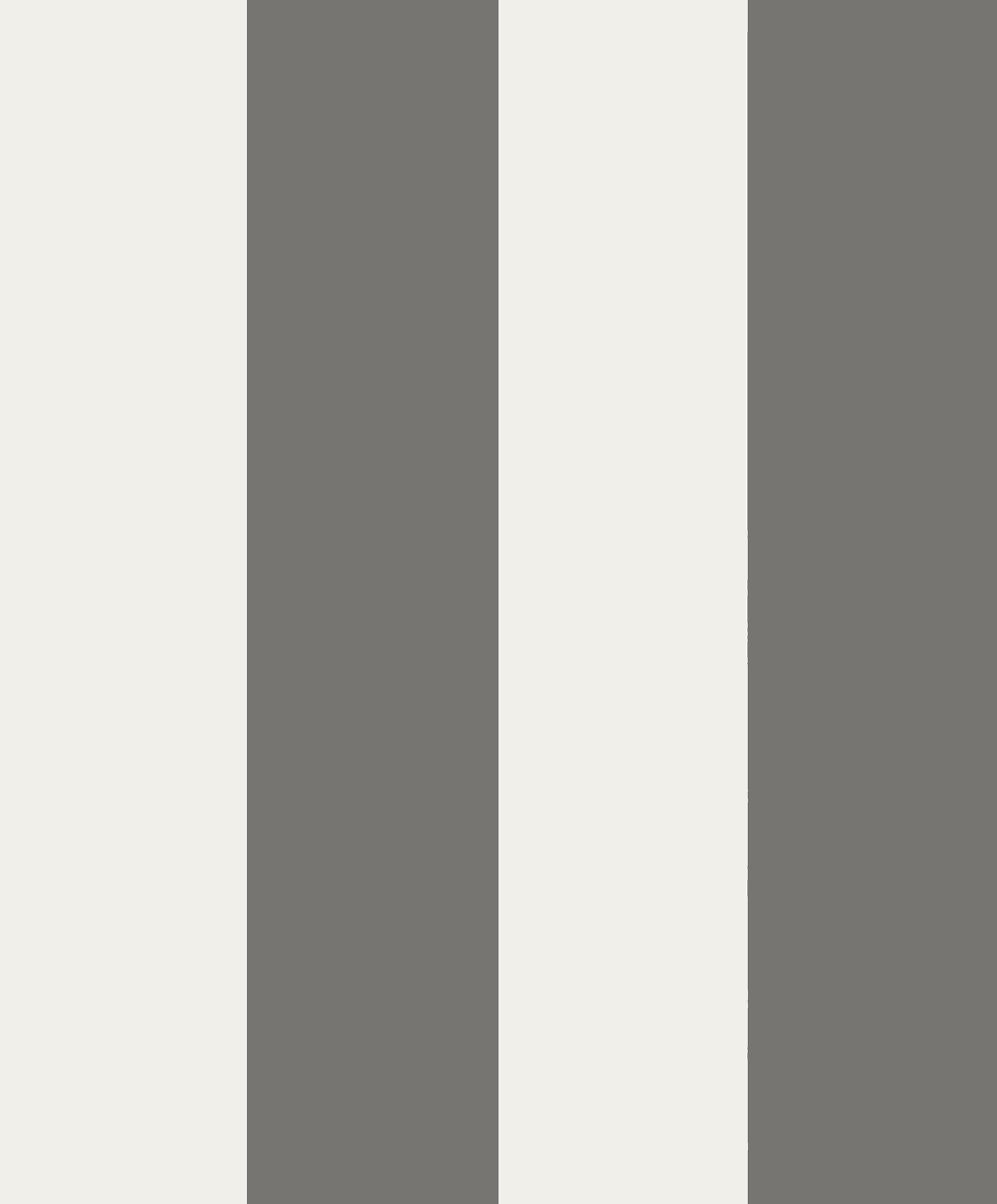 Magnus - Dark Gray