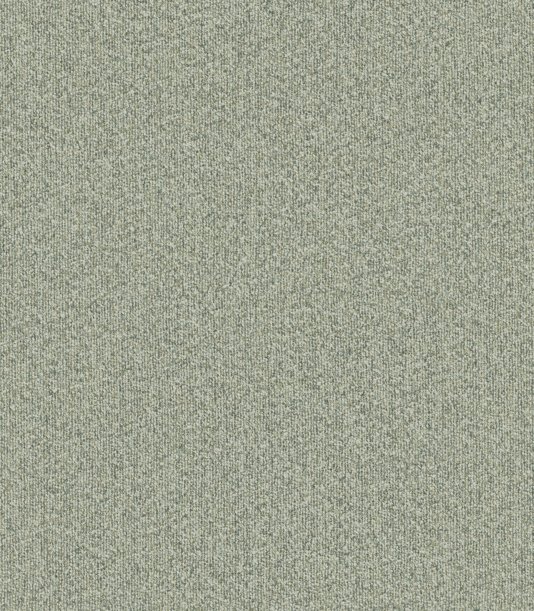 MONTAGNA - Juniper