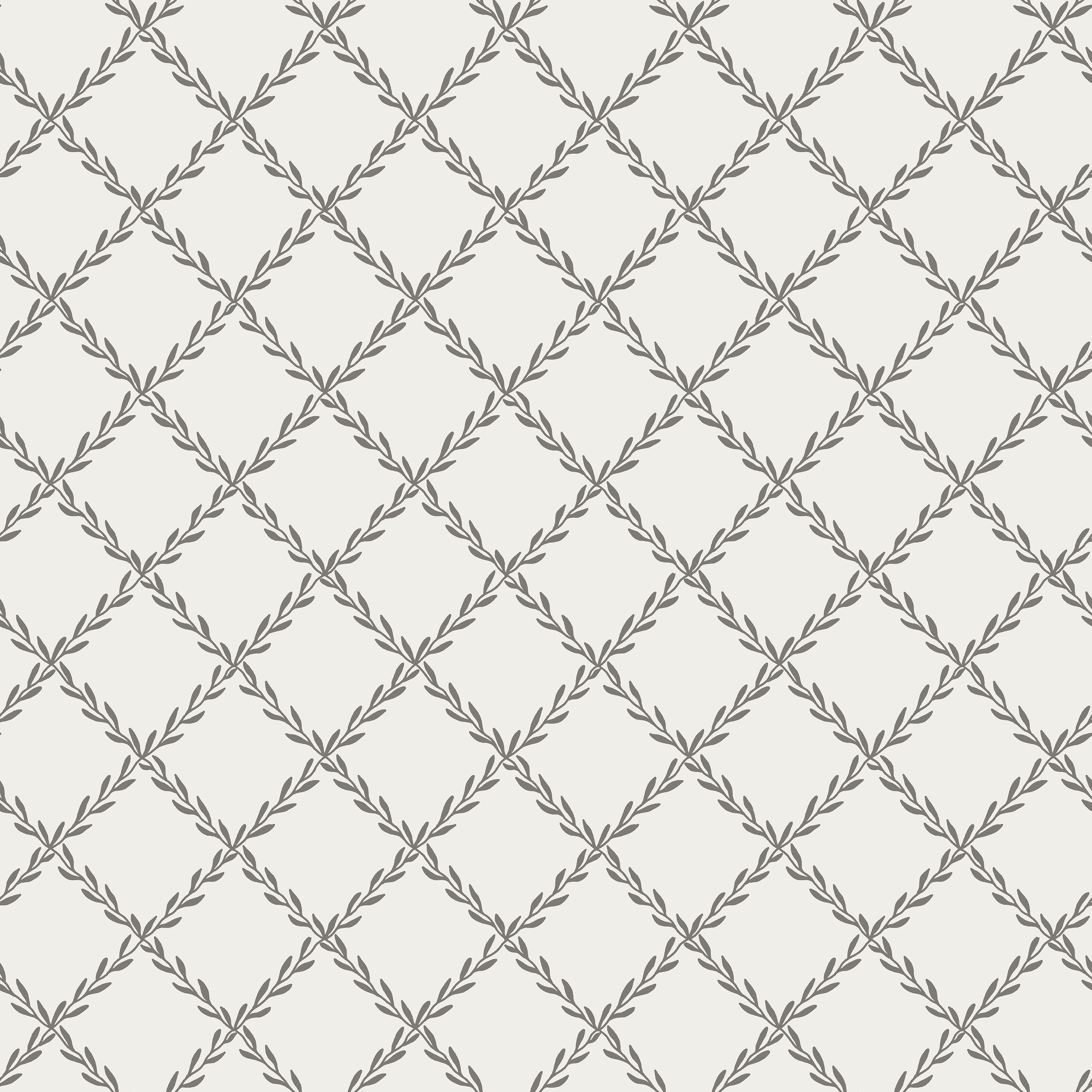 Trellis - Graphite