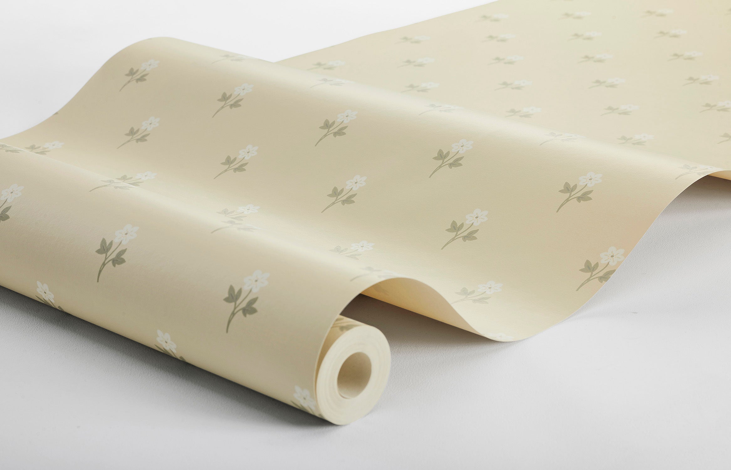 Anemone - Sorbet Yellow