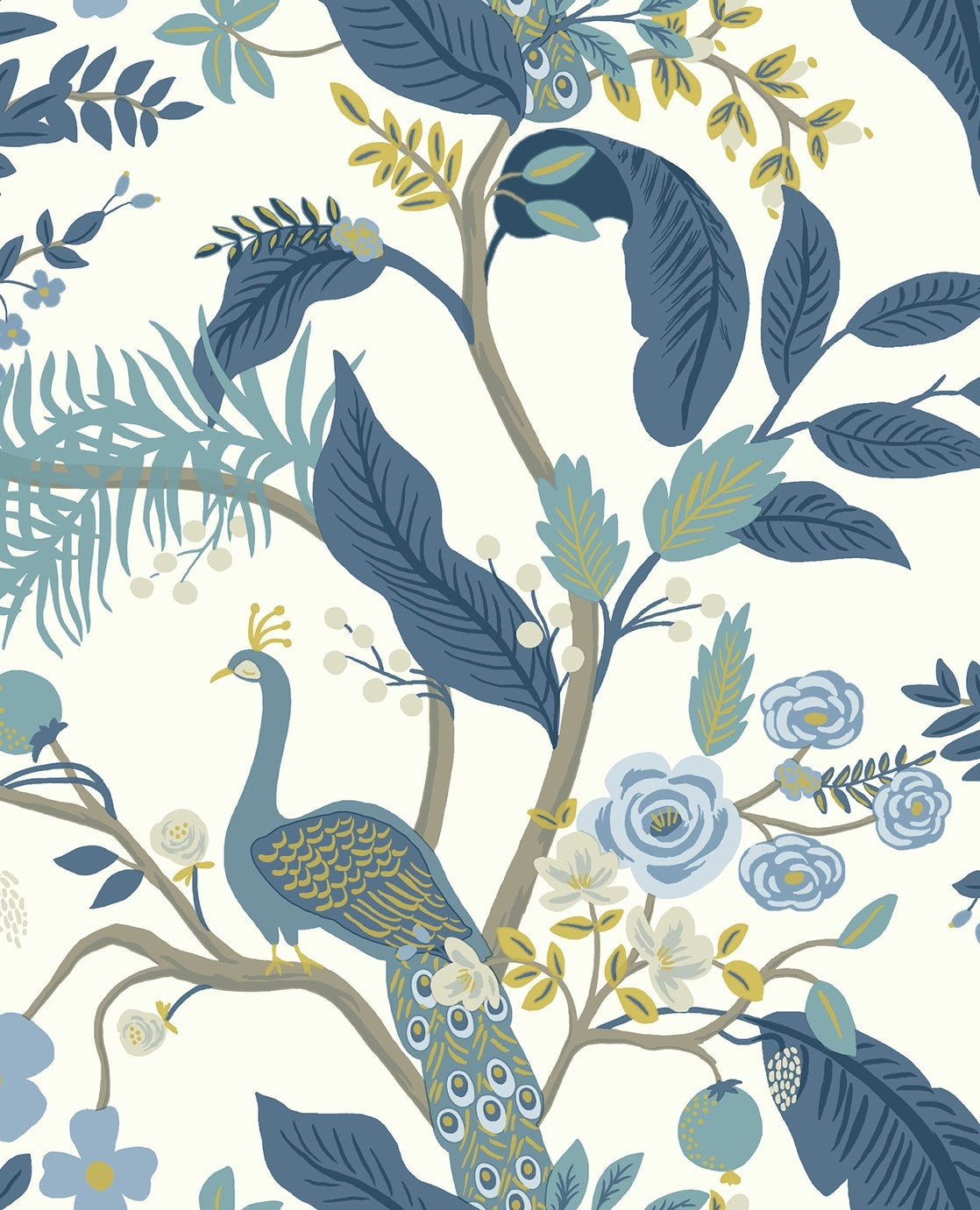 Peacock - Blue