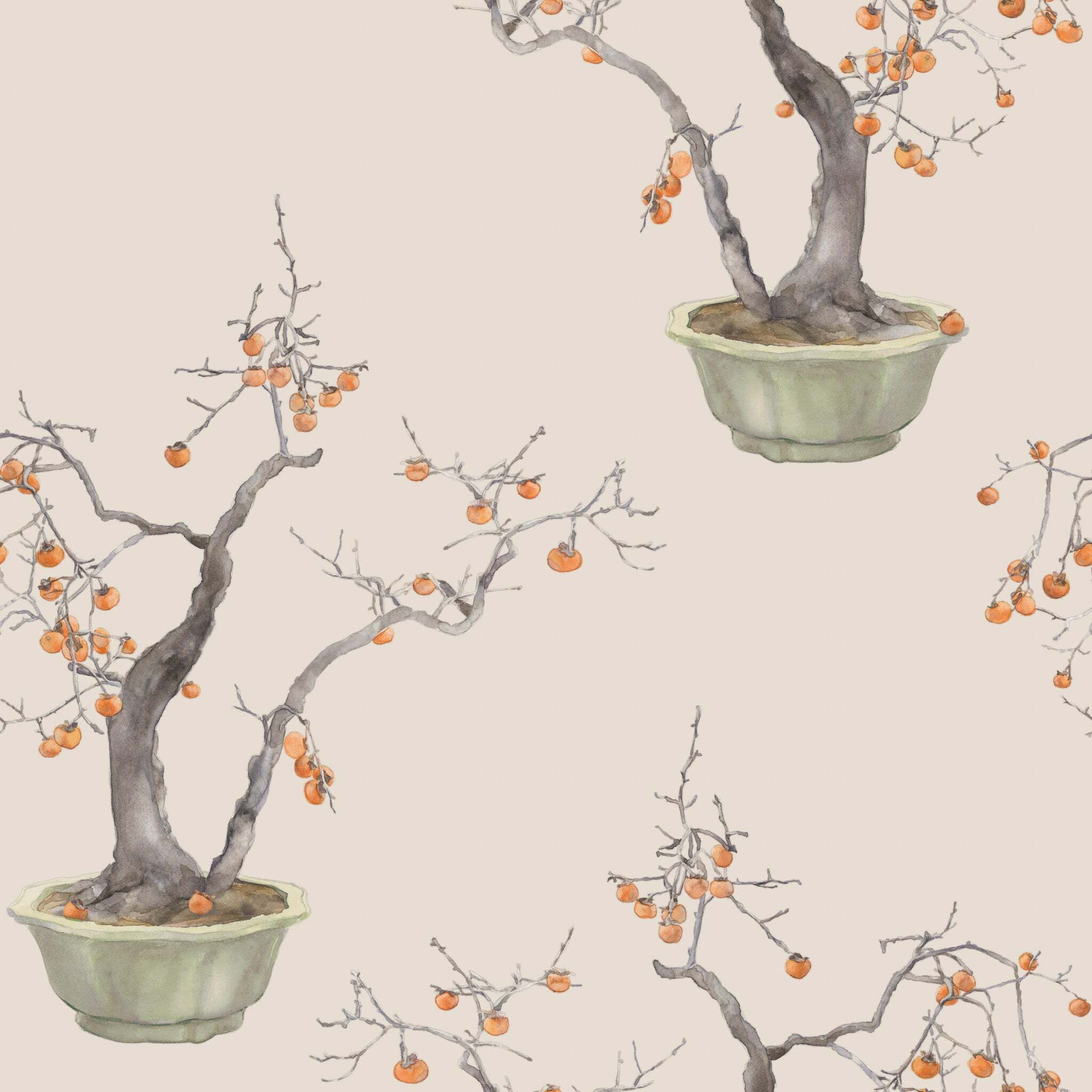 Kaki Persimmon - Violet Patina