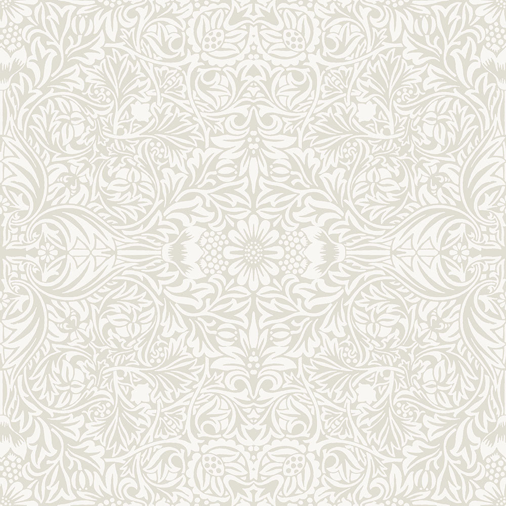 Ceiling - White