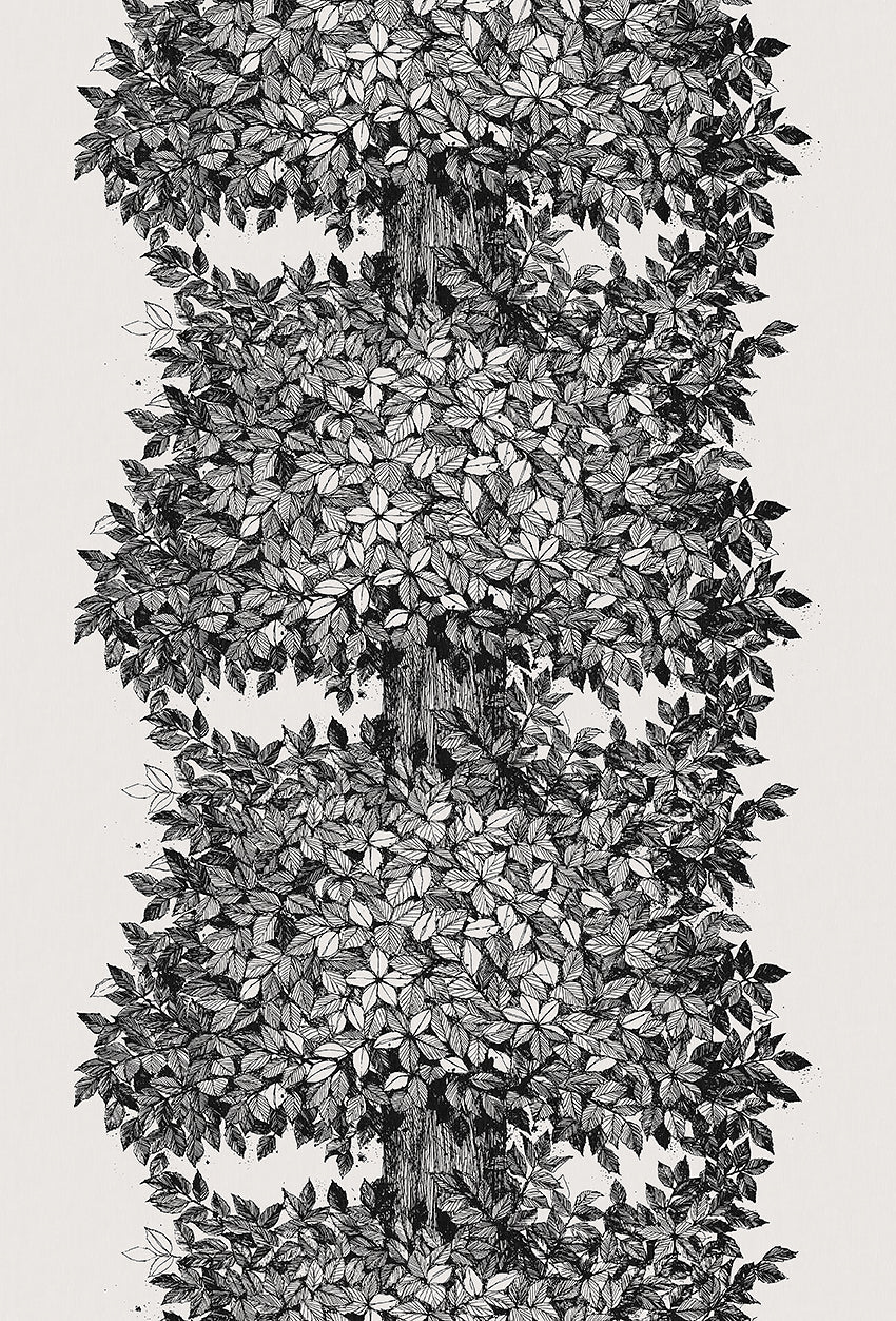 Viola Gråsten - Hassel - Black & White