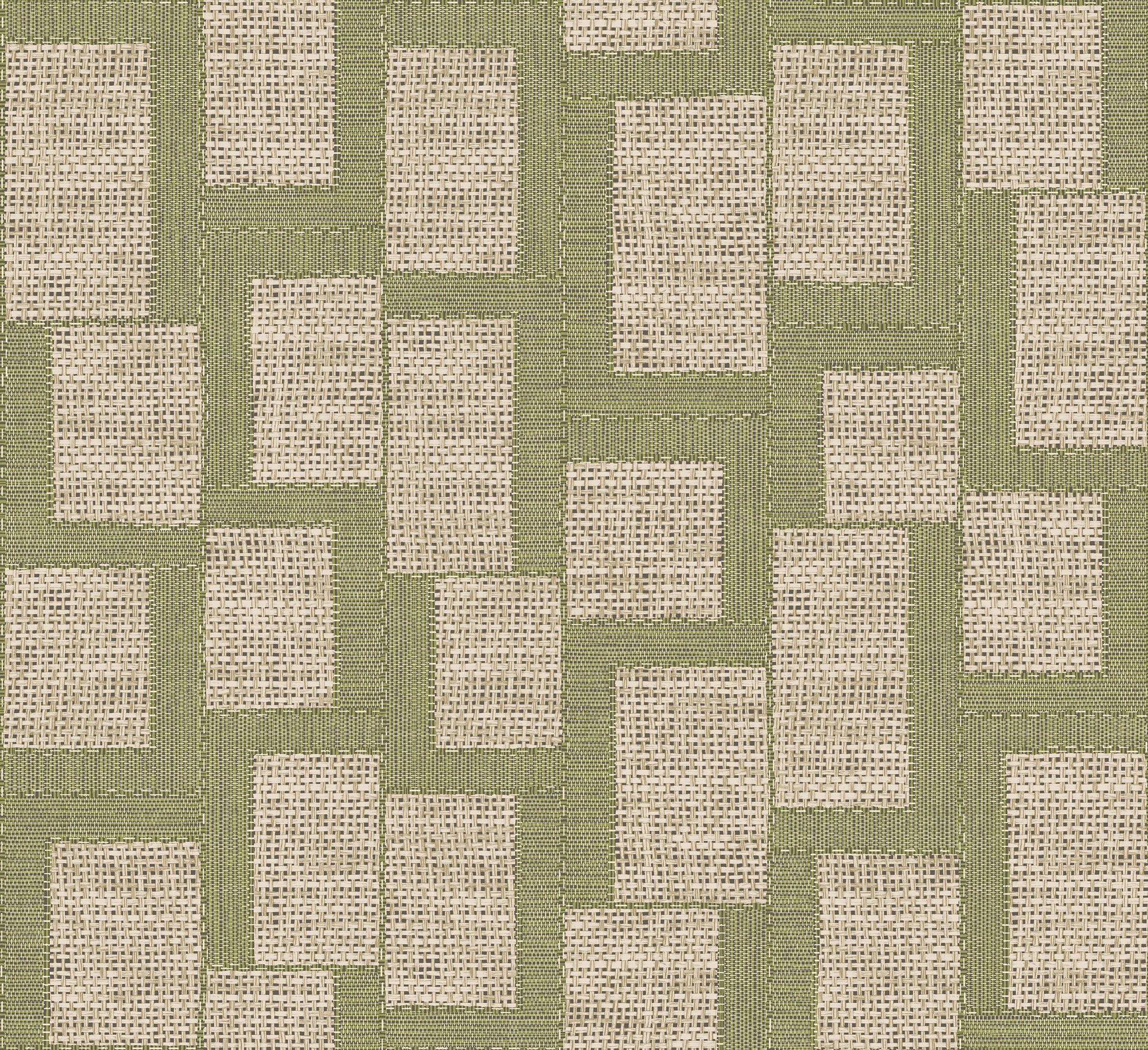 Esparto Africano - Olive