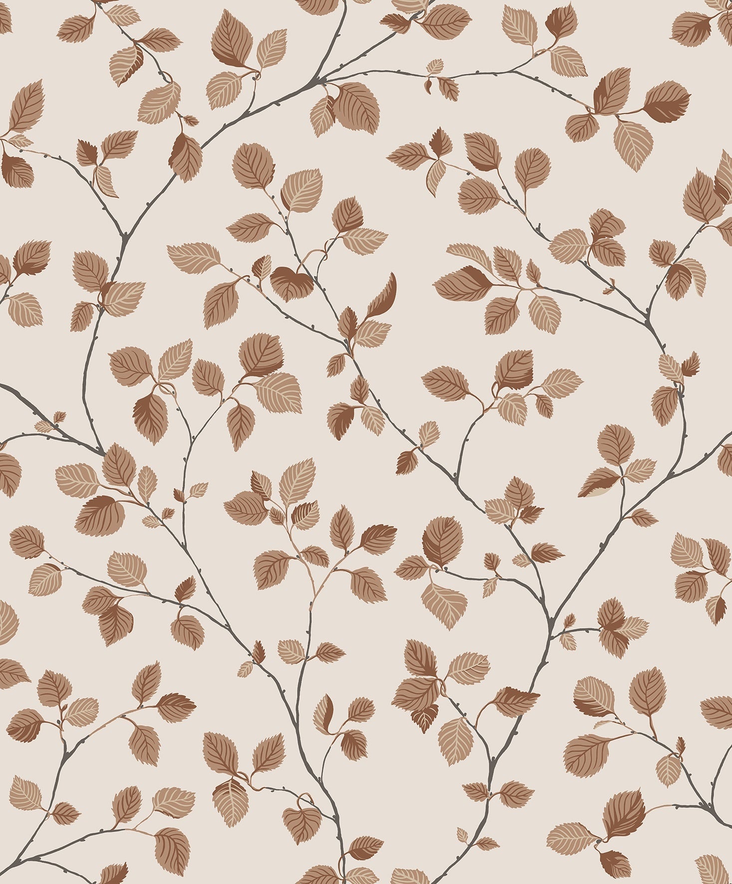 Bokskog - Terracotta