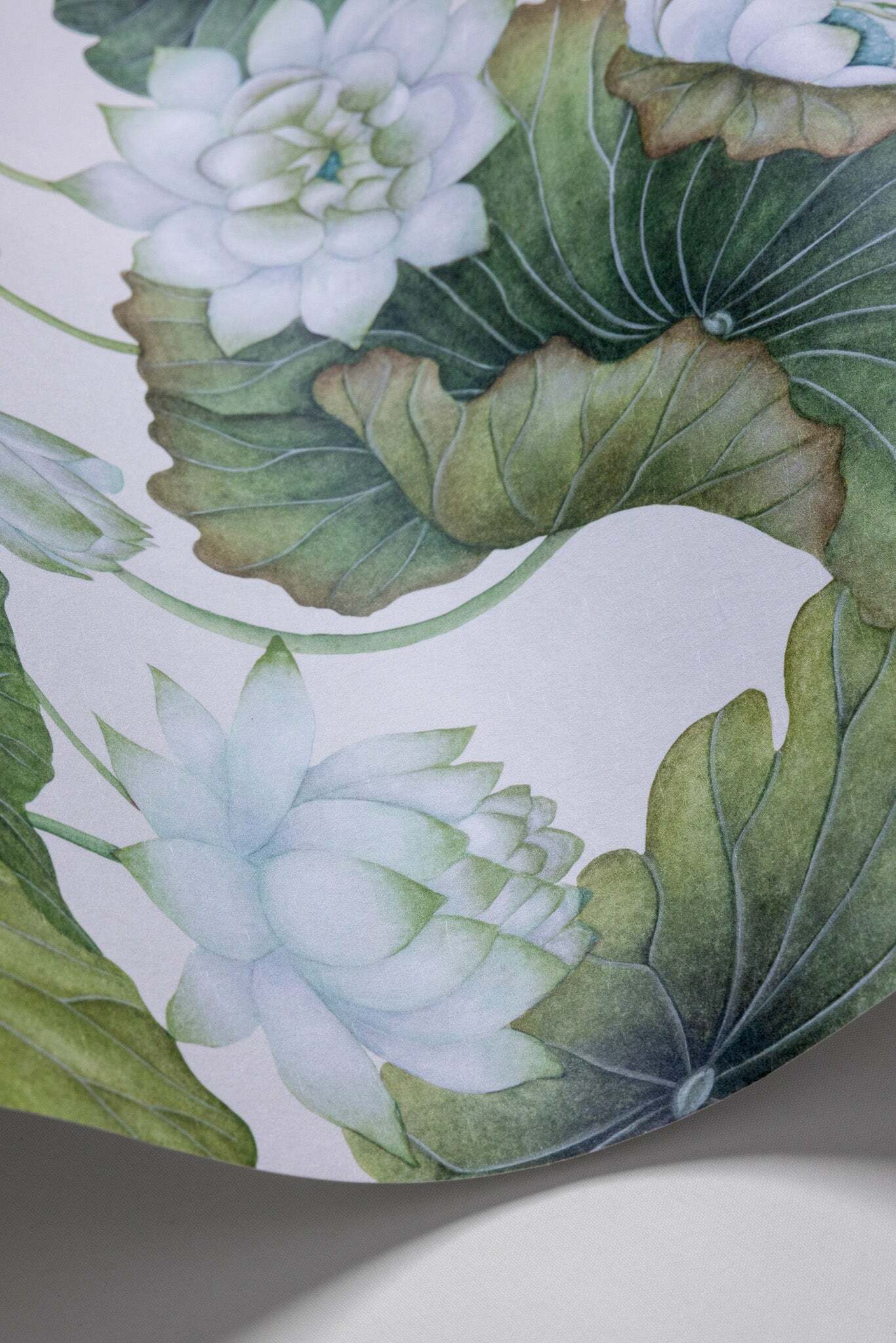 Lily Lotus - White on Cream