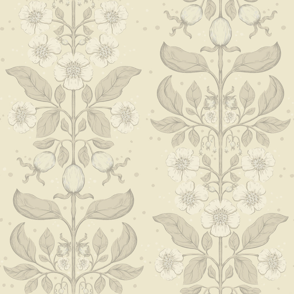 Rosa - Beige