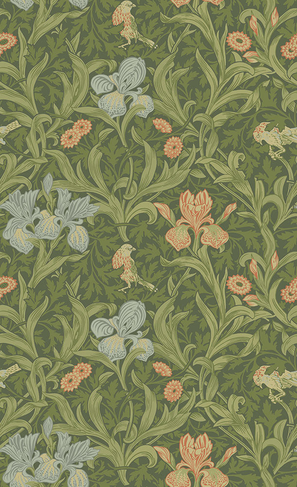 Iris - Green