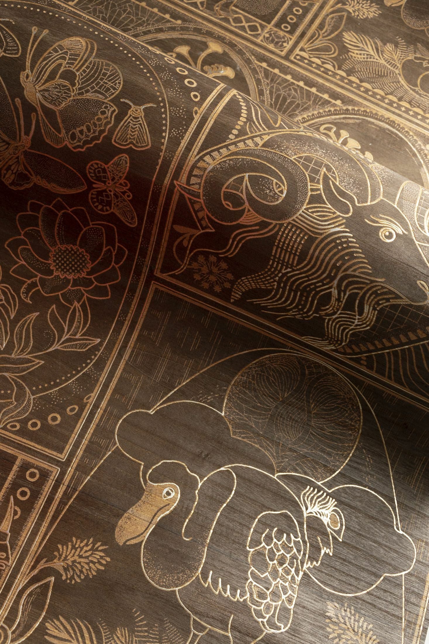 Golden Tiger - Makore