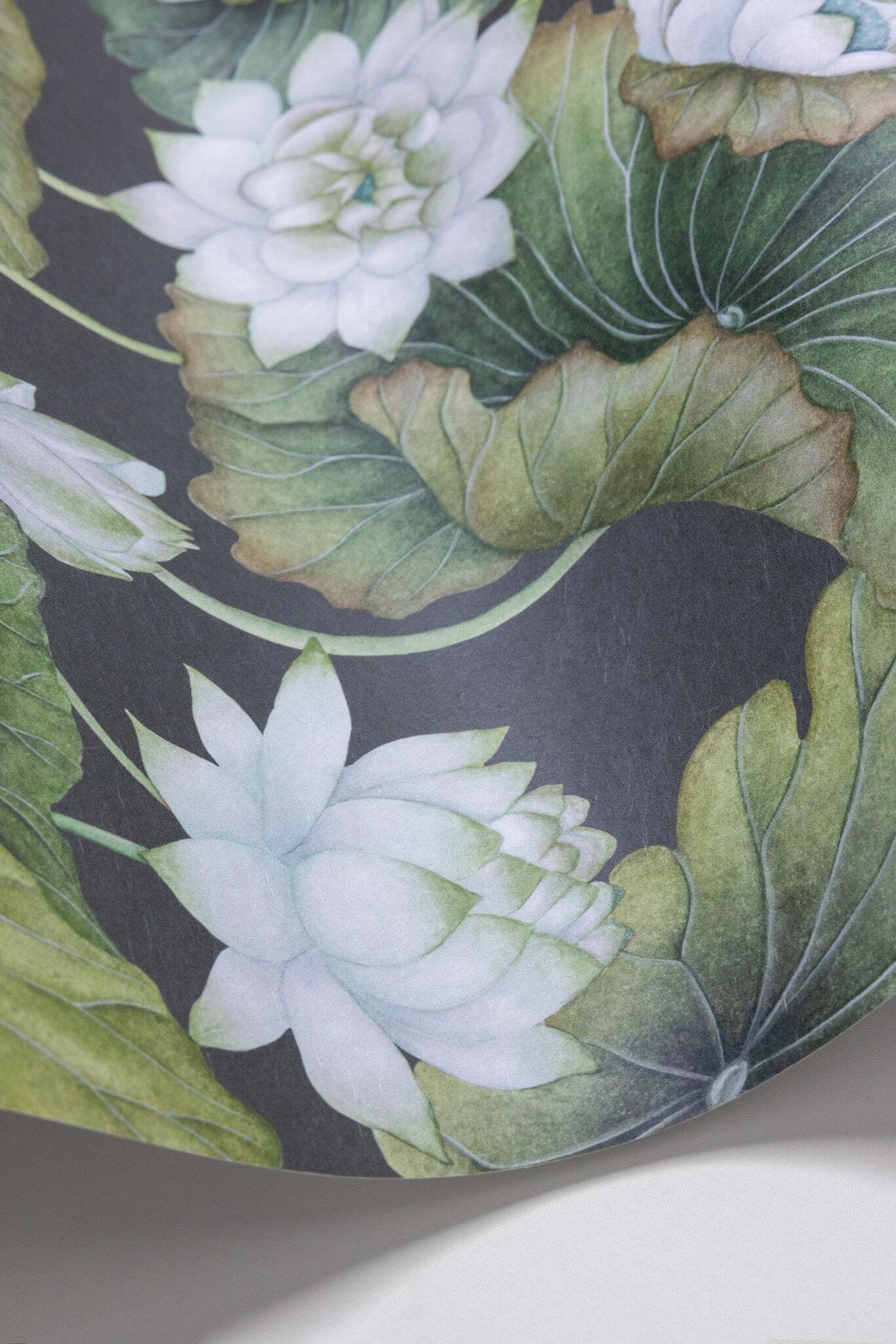 Lily Lotus - White on Charcoal