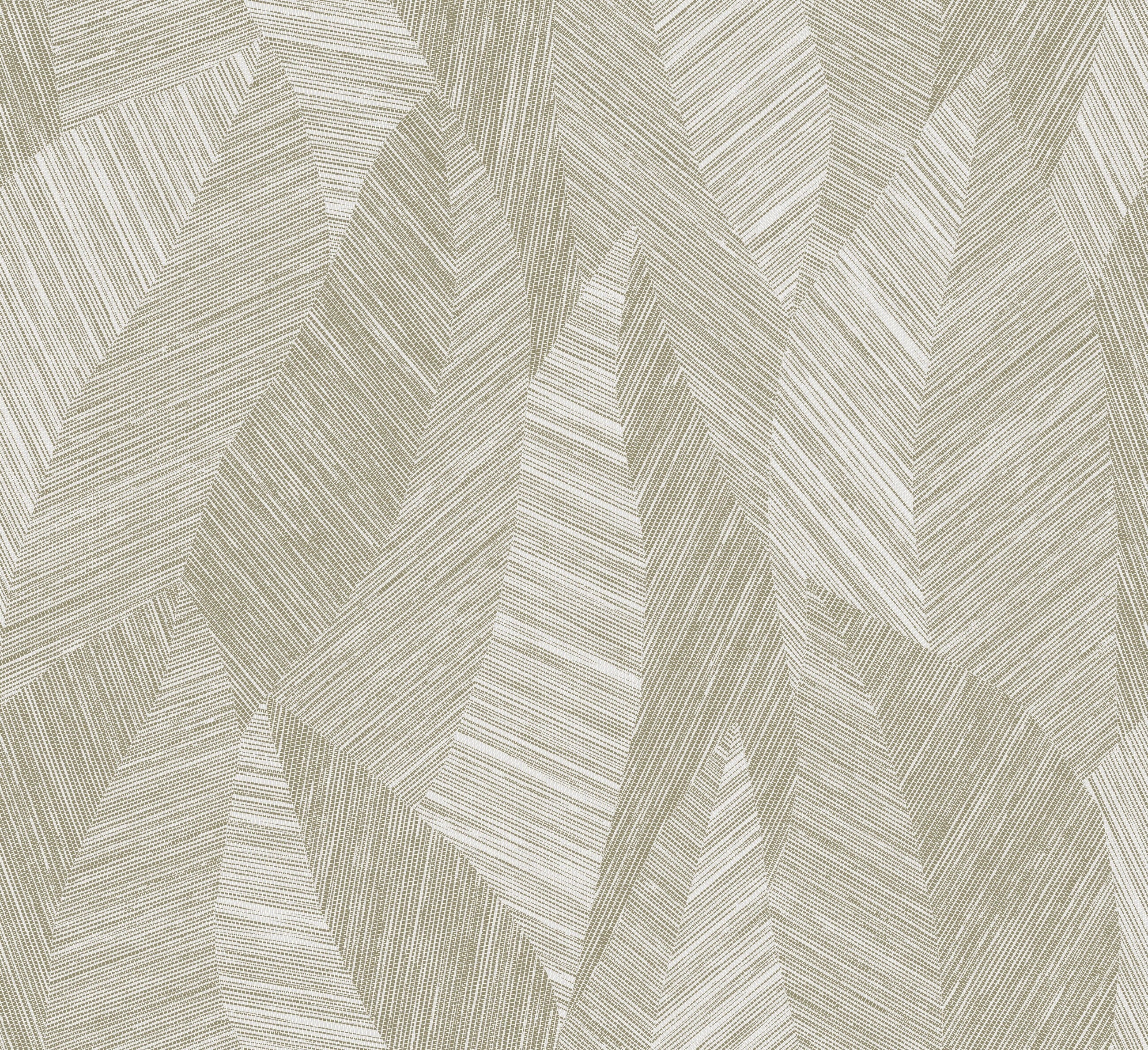 Bounty - Cedar