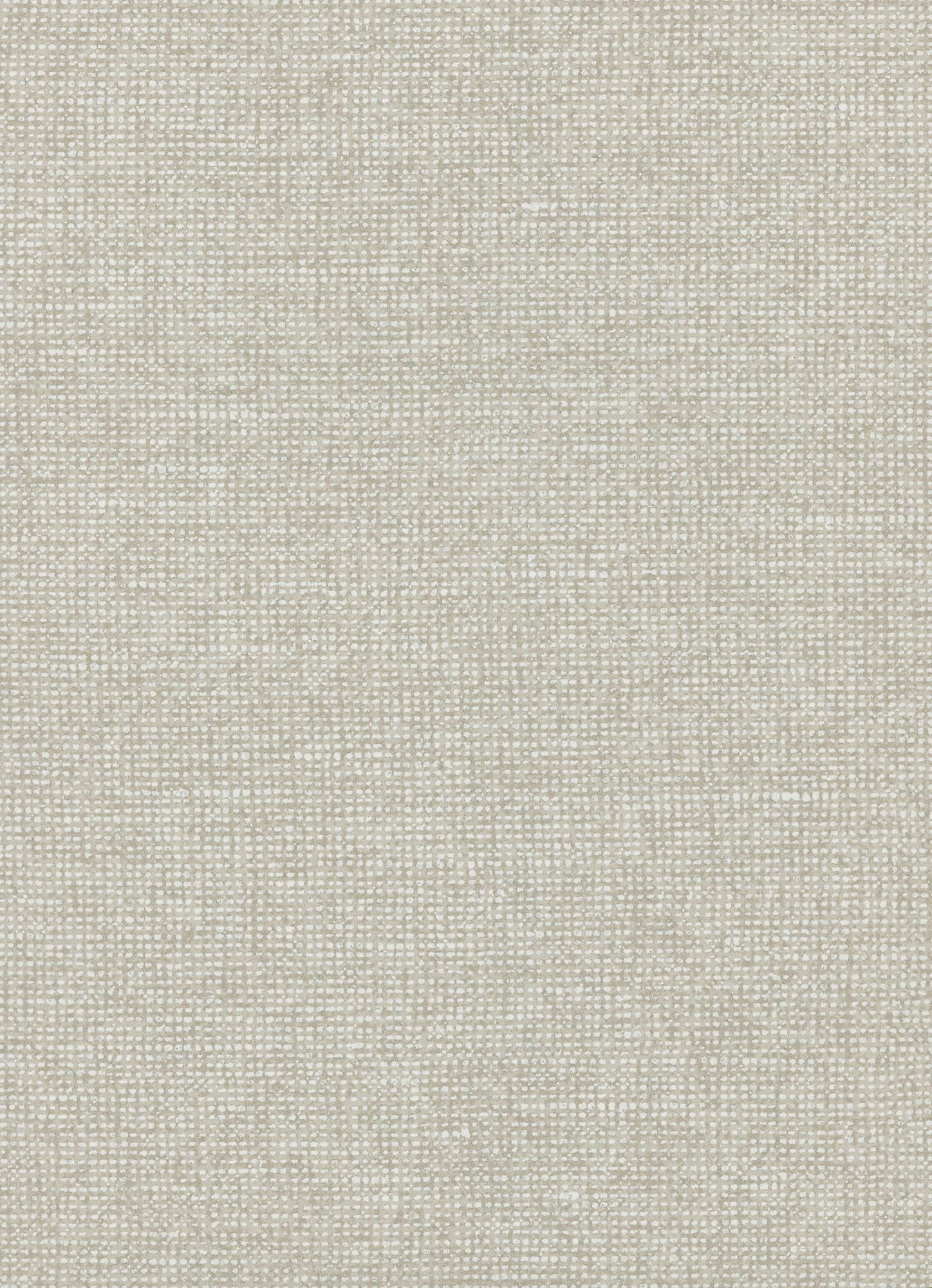 Chanderi - Seagull Grey