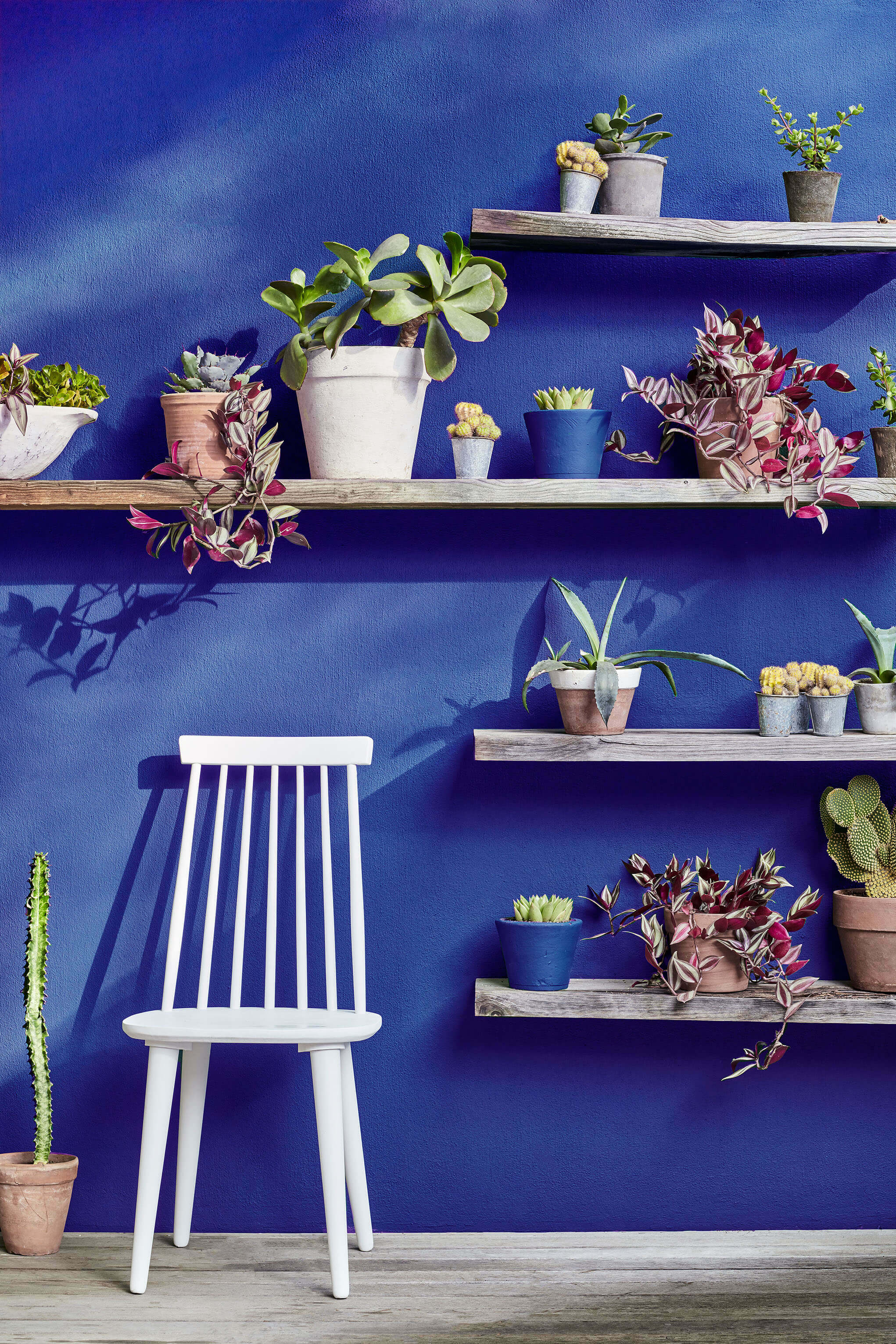 Little Greene - Smalt