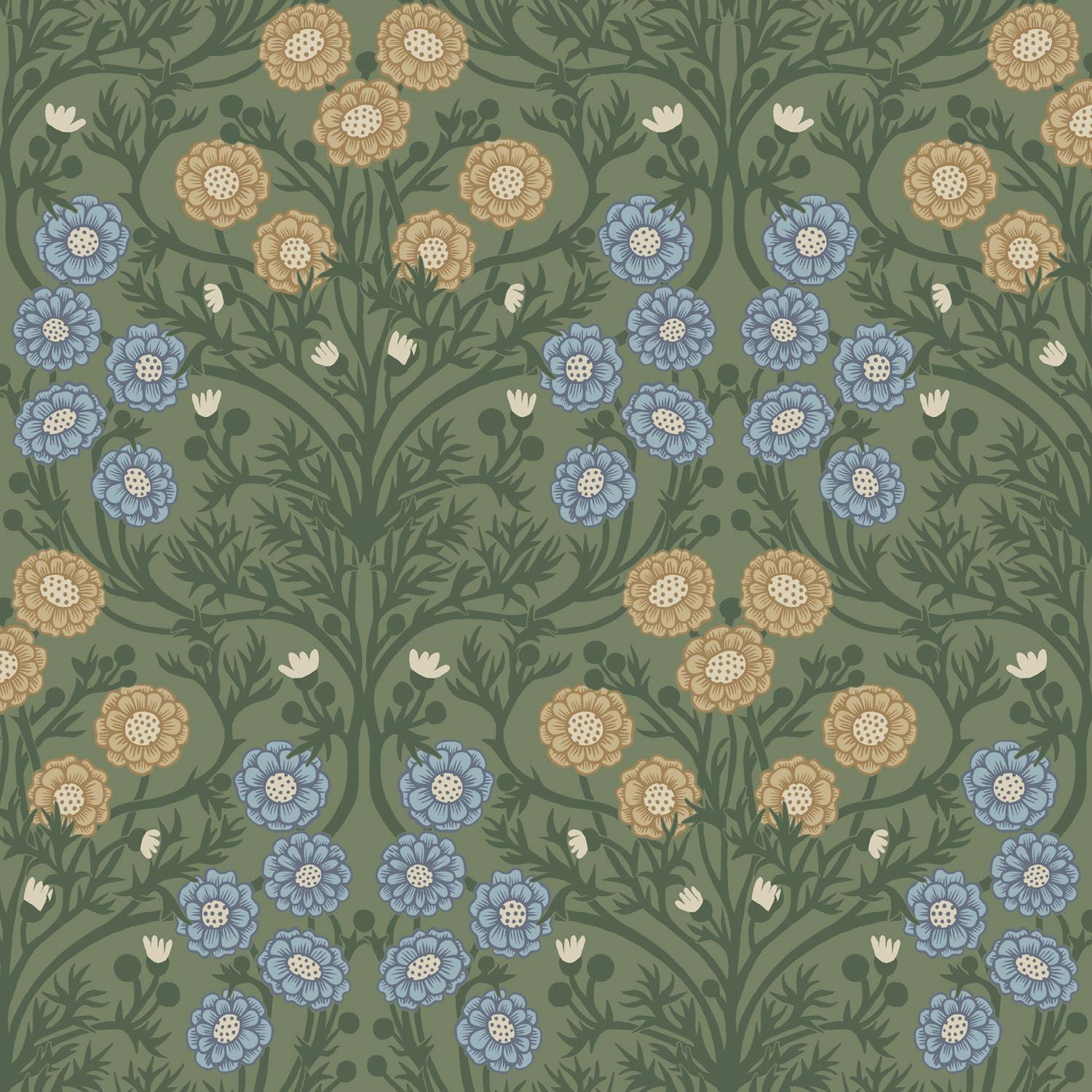 Bellis - Green
