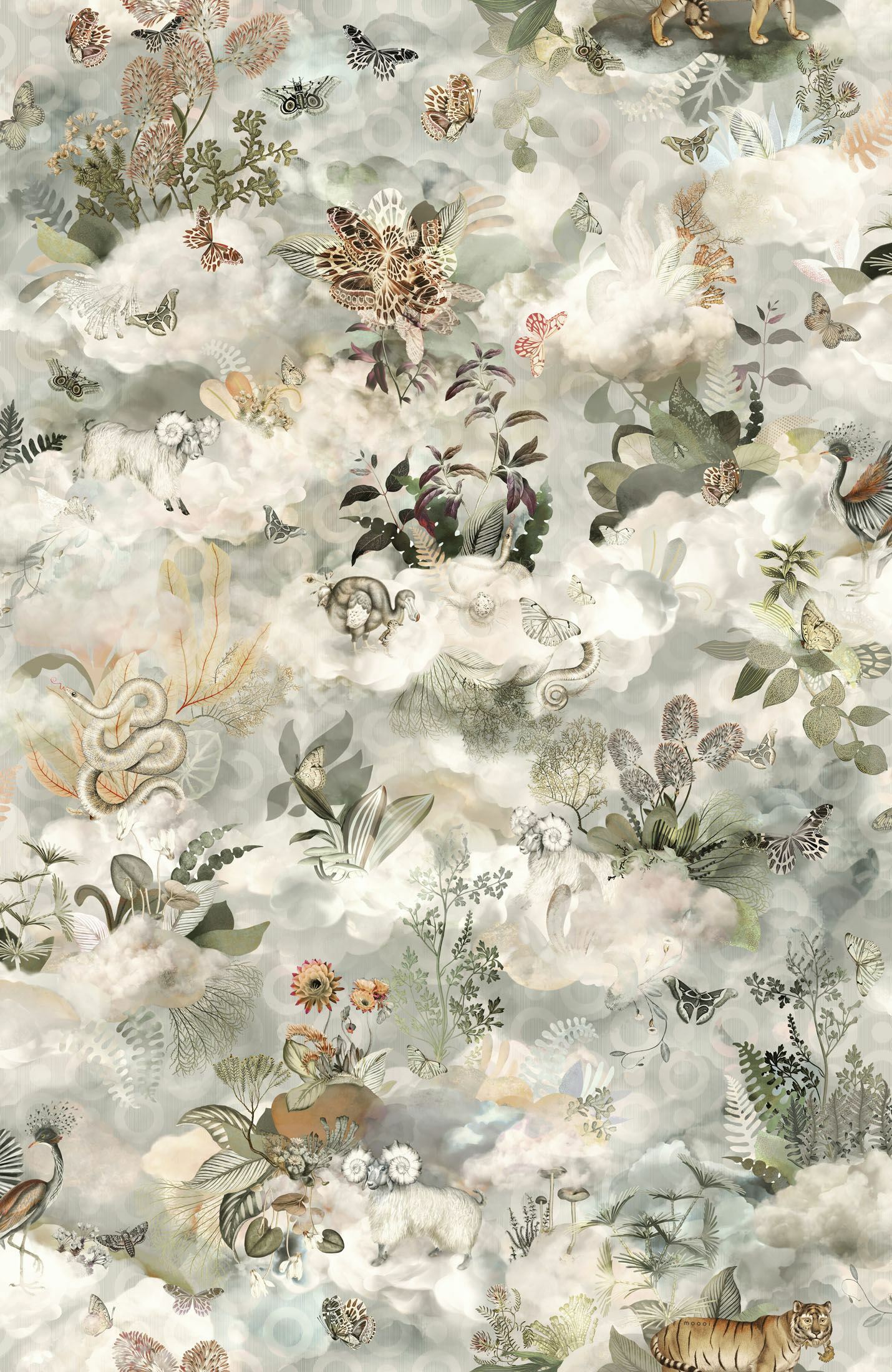 Memento Moooi Medley - Dawn