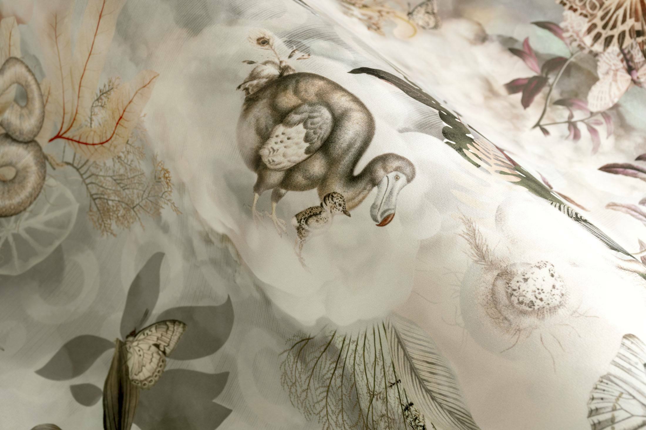 Memento Moooi Medley - Dawn