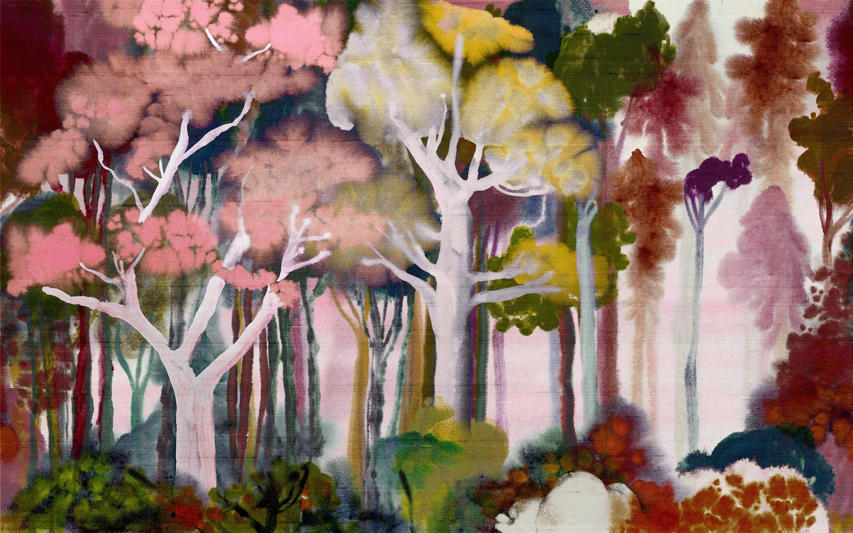 Banyan - Red Blossom