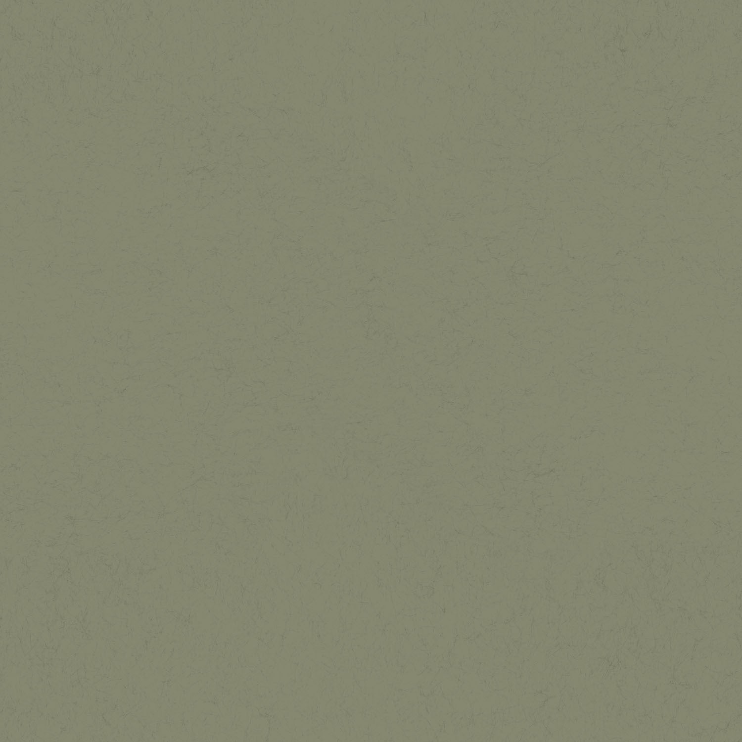Skog