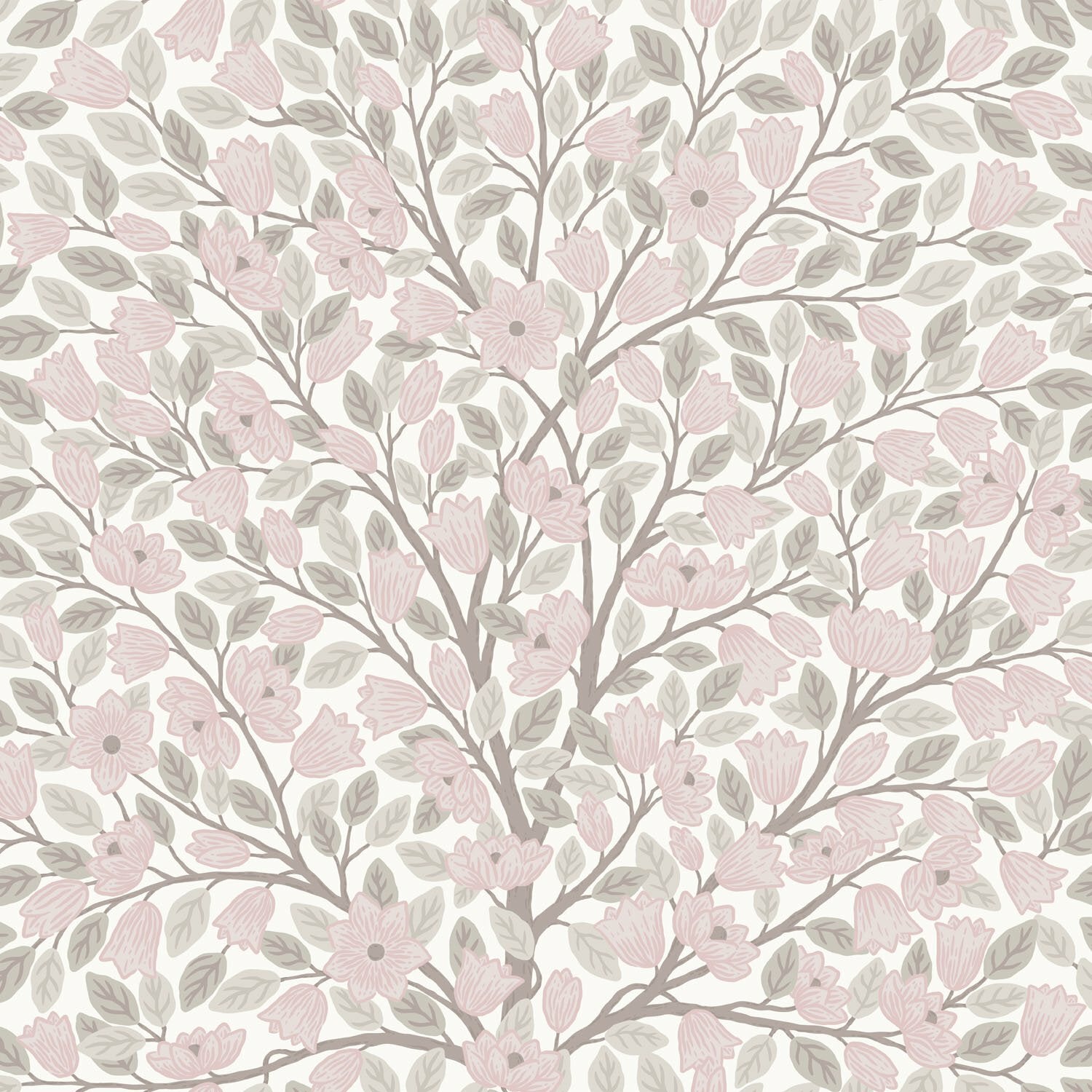 Magnolia - Rose