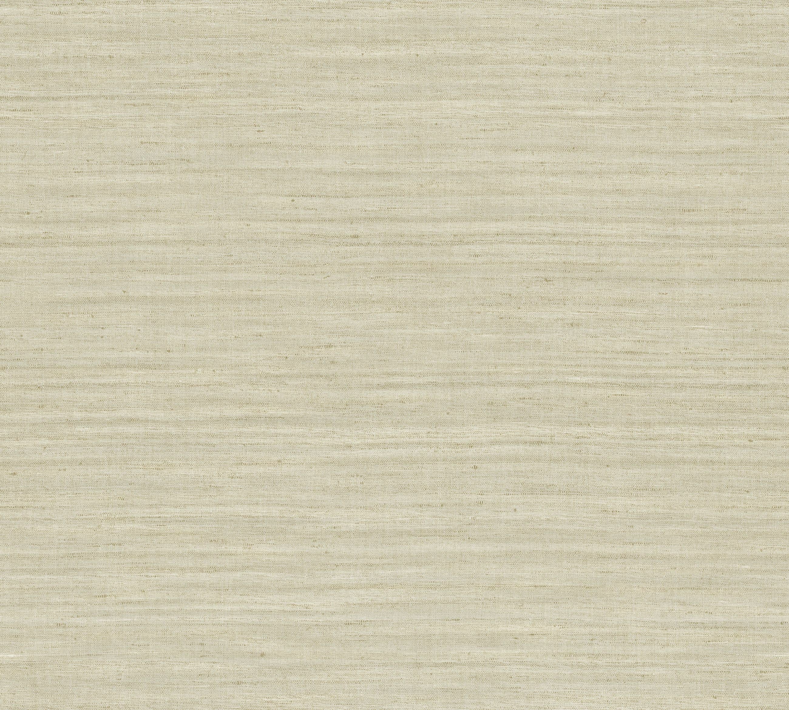 Lignes - Champagne