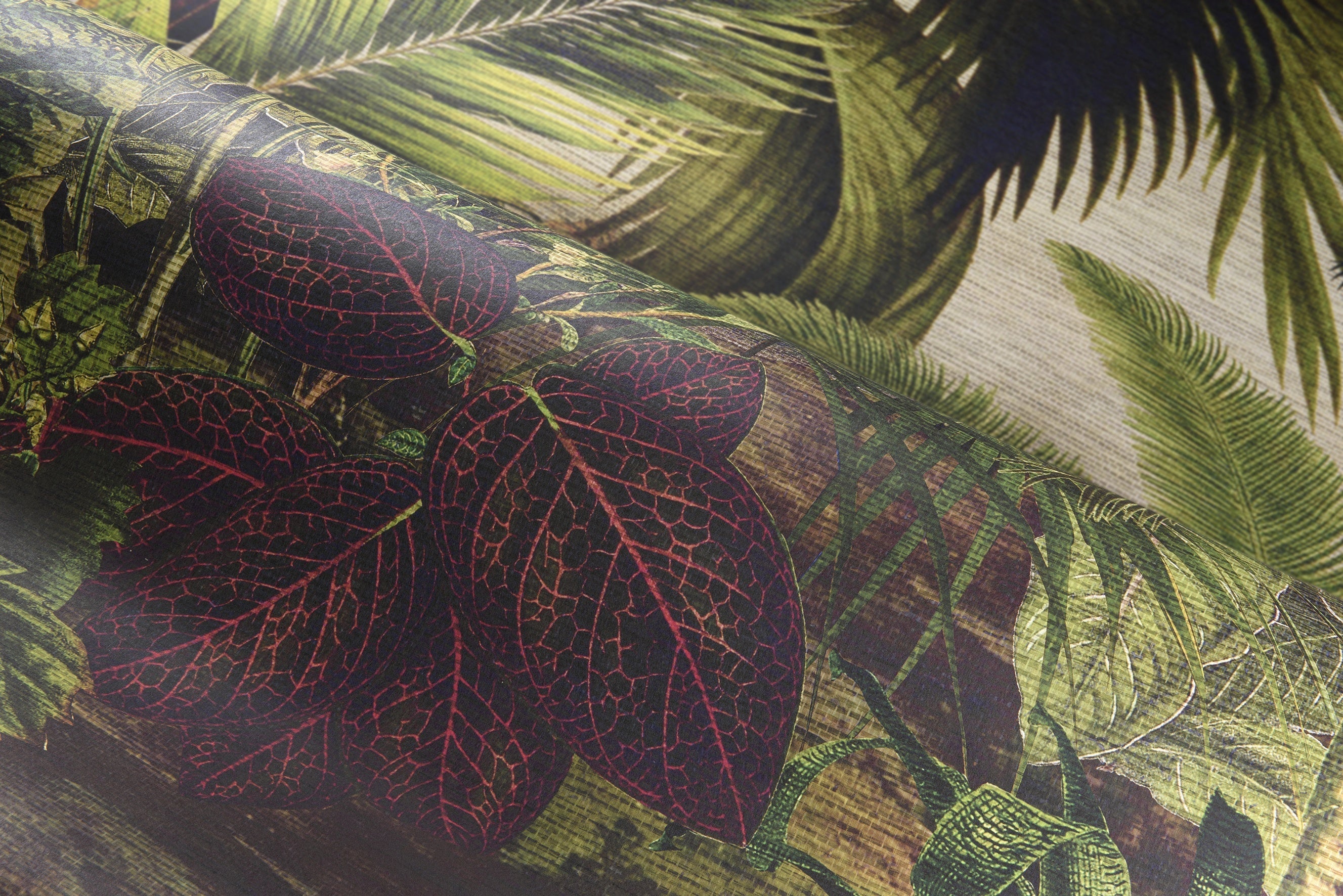 Rêverie Tropicale - Jungle Green
