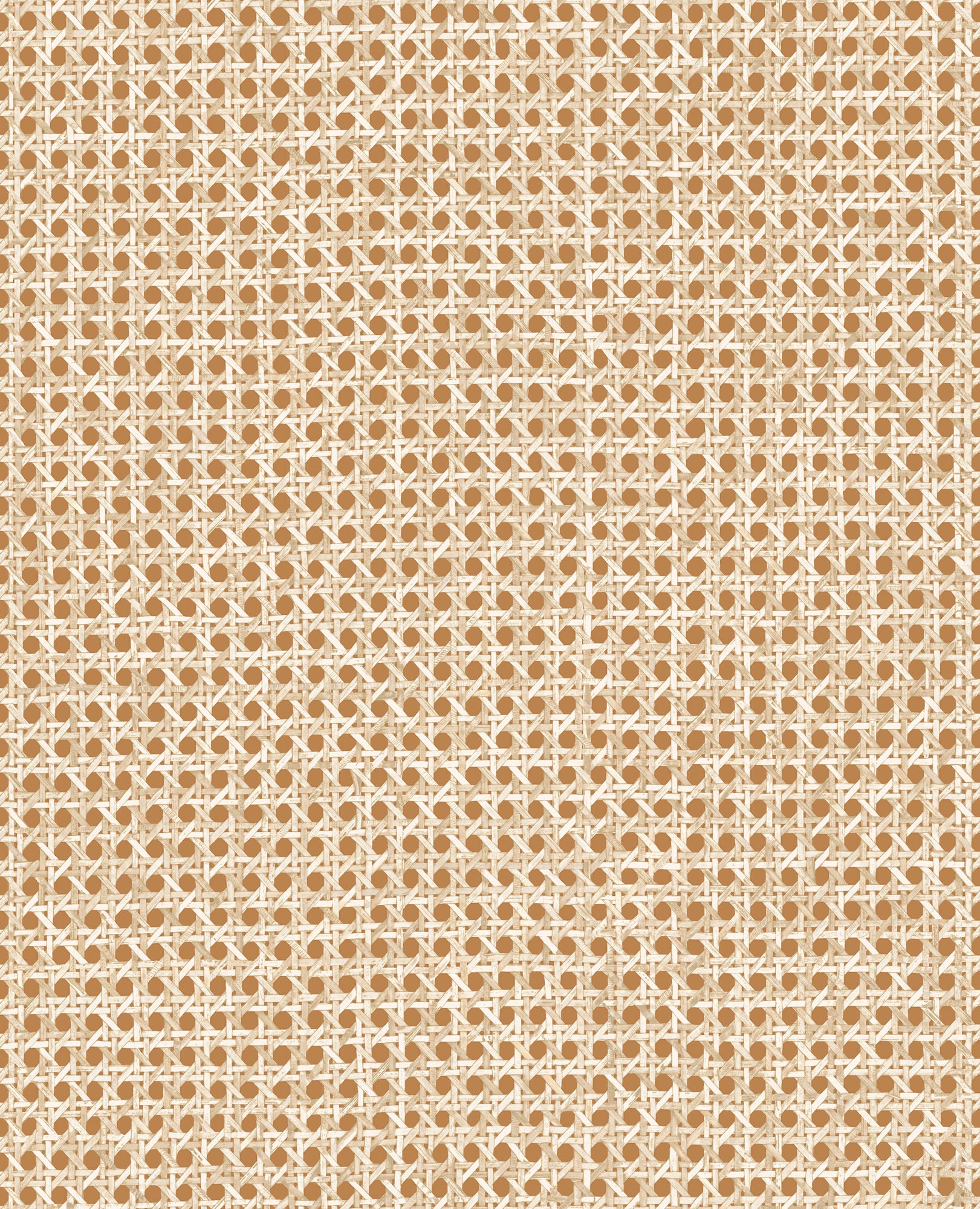 Le Rotin - Terracotta