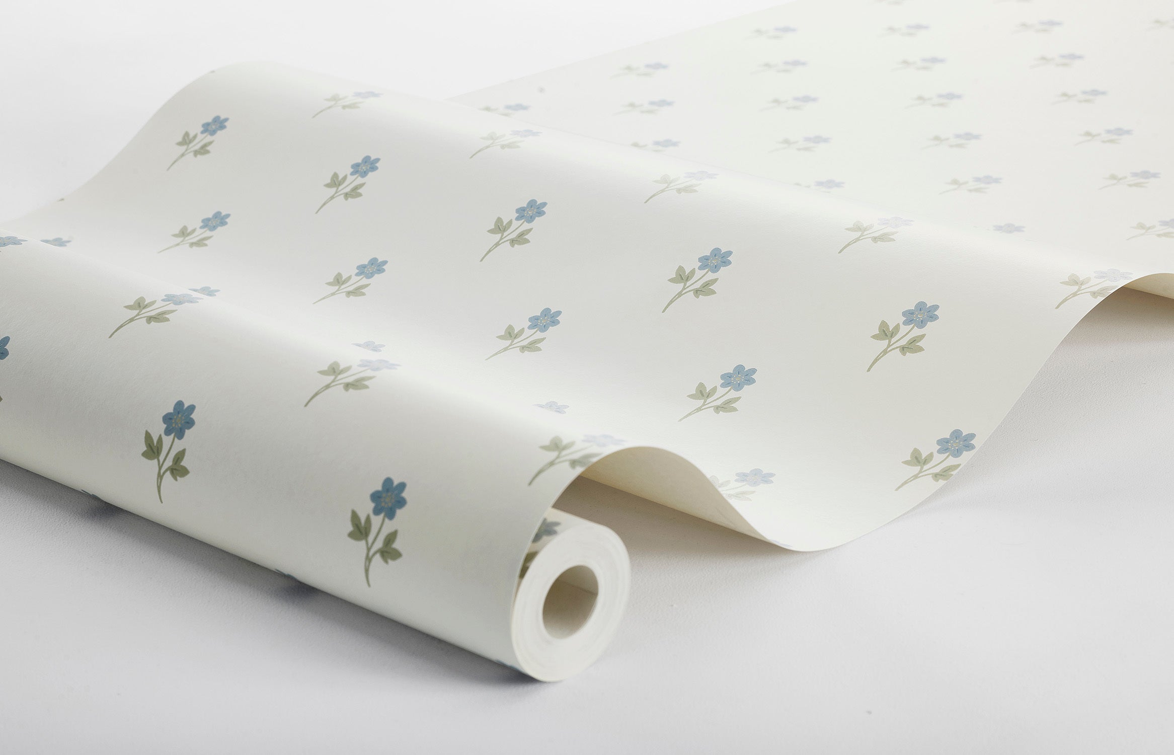 Anemone - White