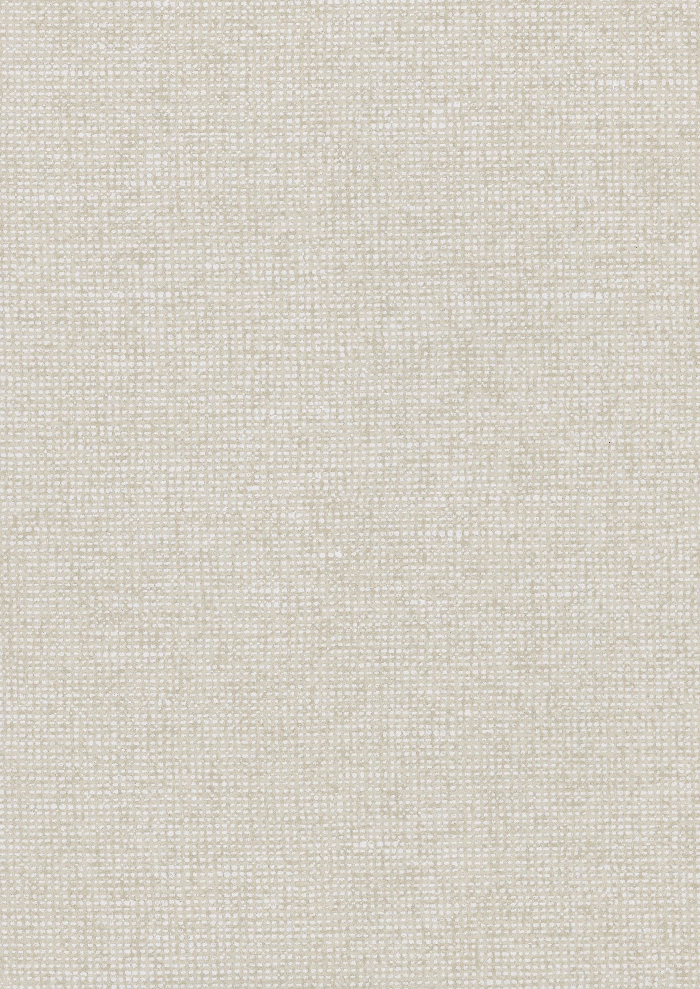 Chanderi - Powder Beige