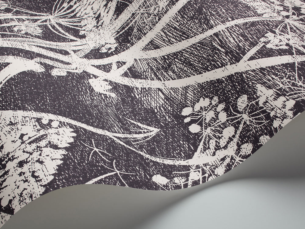 Cow Parsley - Soot & Snow