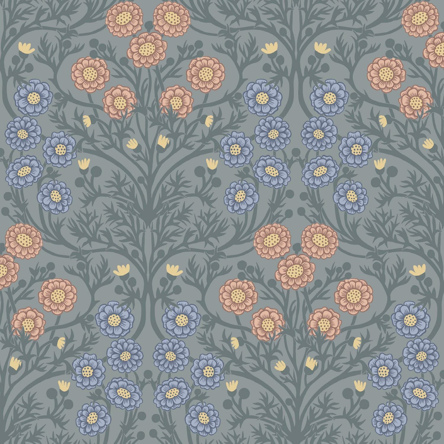 Bellis - Blue