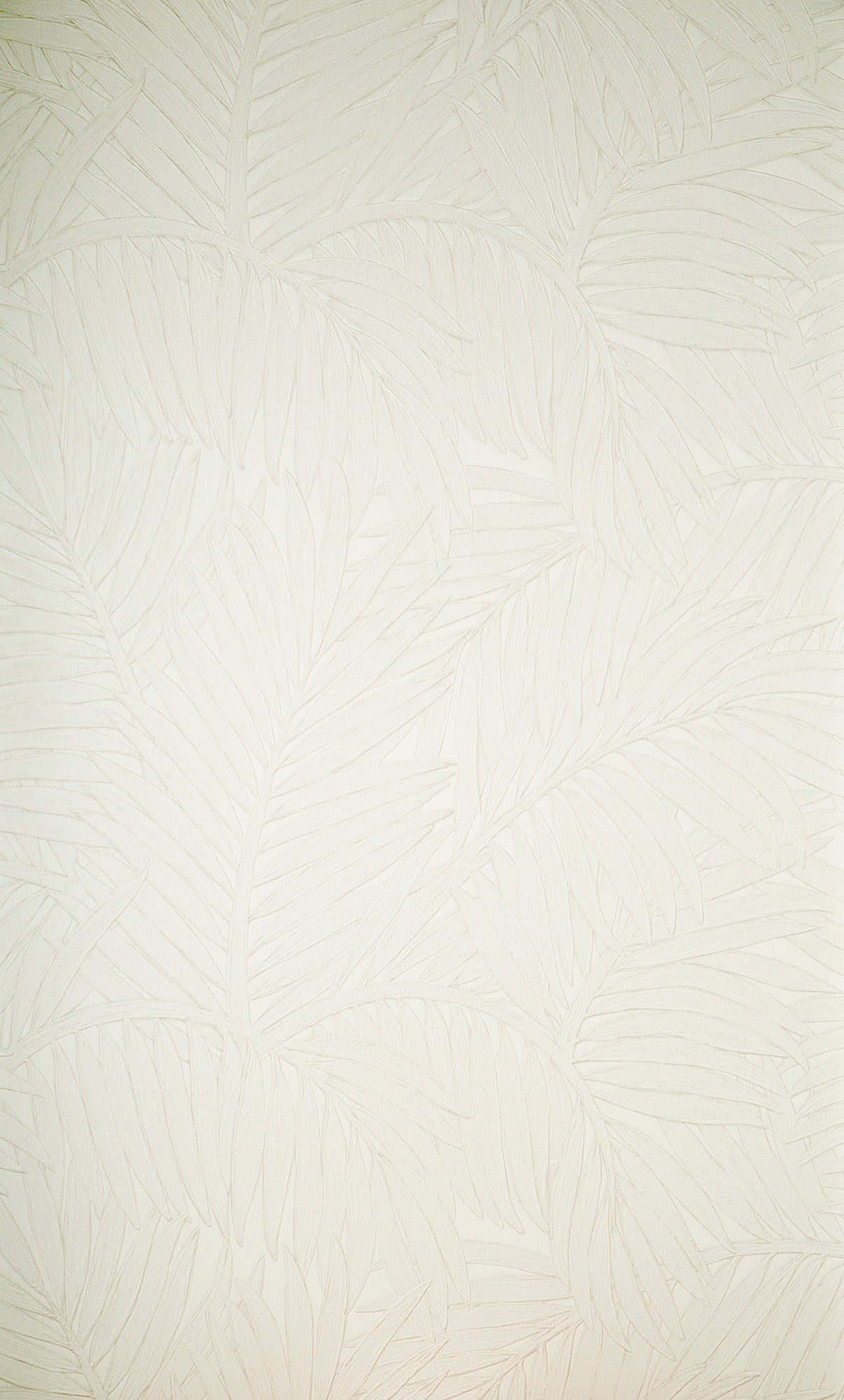 Sabal - Frost White
