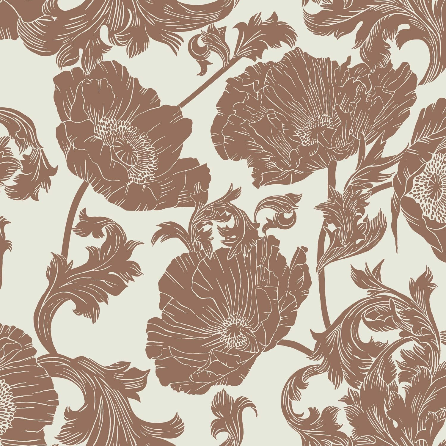 Papaver - Rust