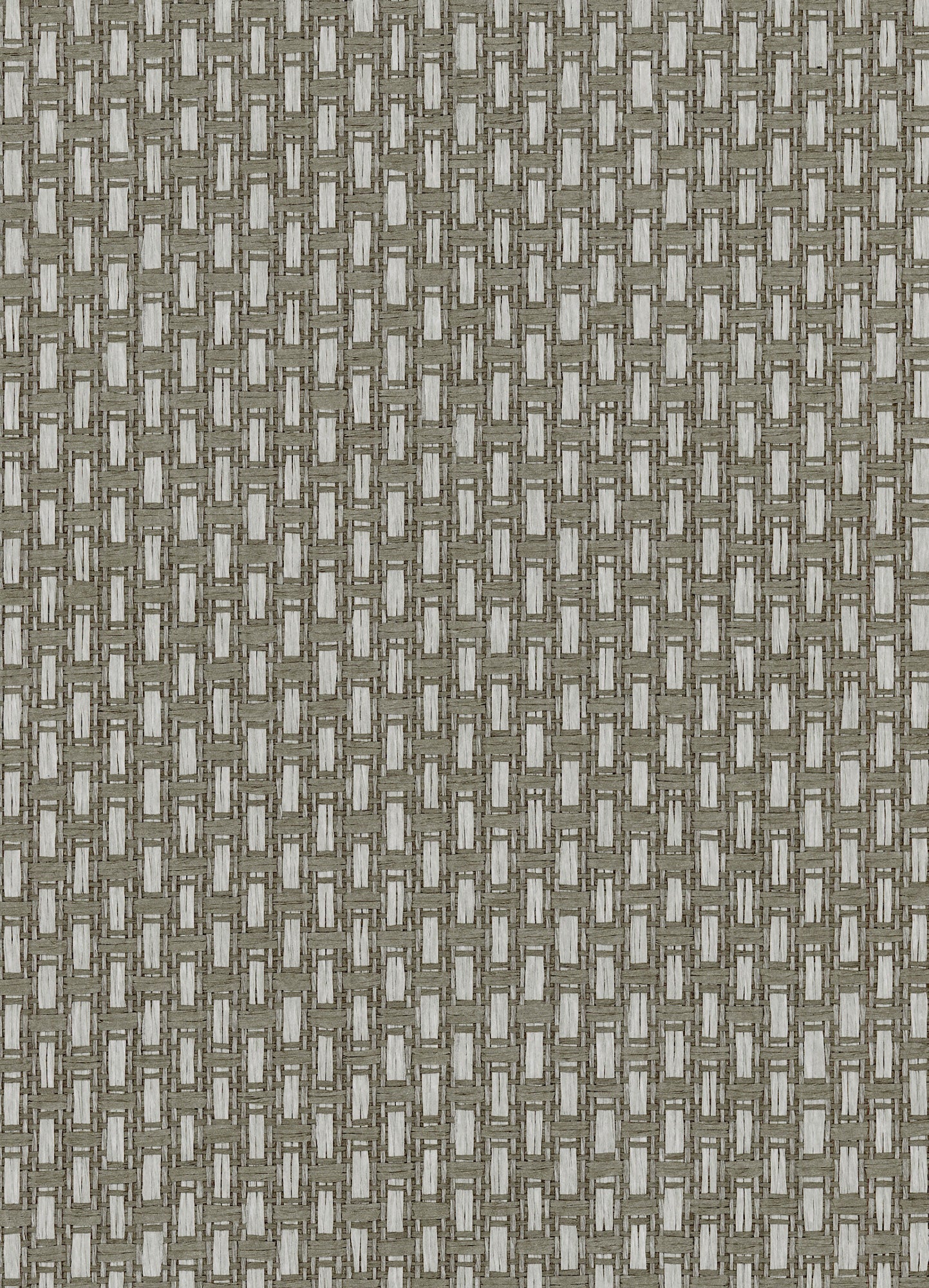 Ferox - Grey