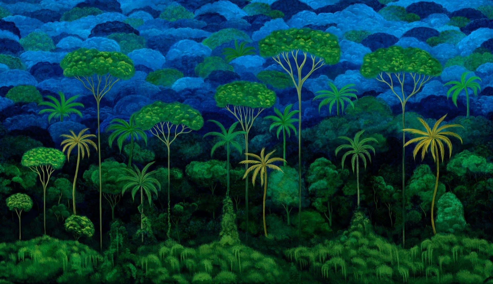 Ciel Tropical - Bright Midnight