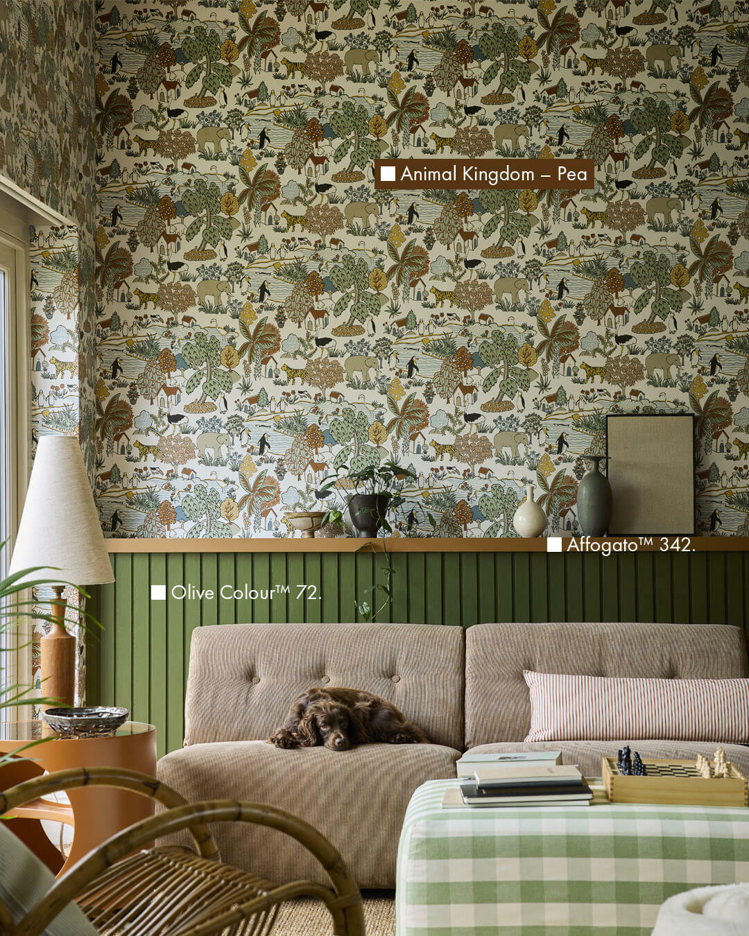 Little Greene - Olive Colour