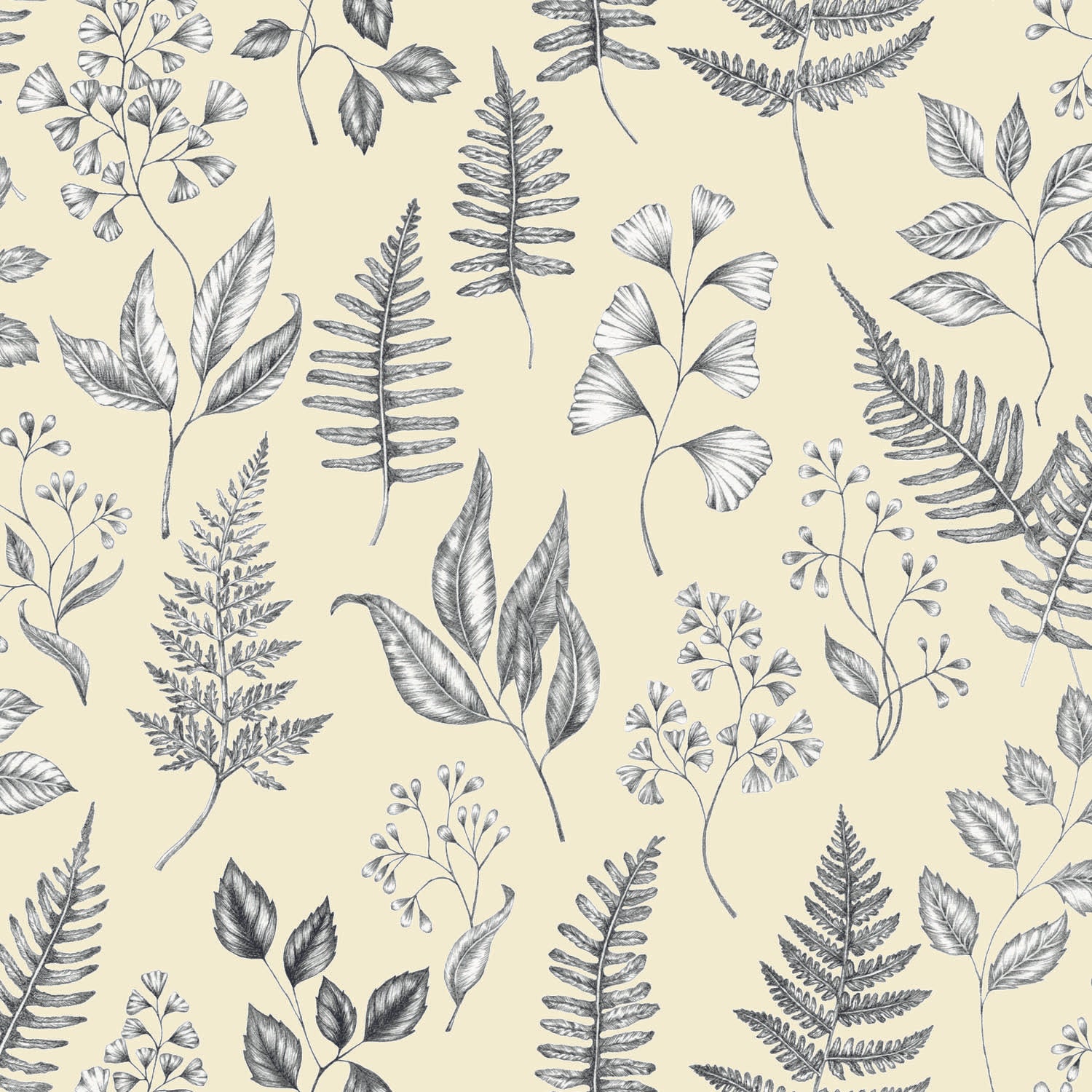 Betula - Yellow
