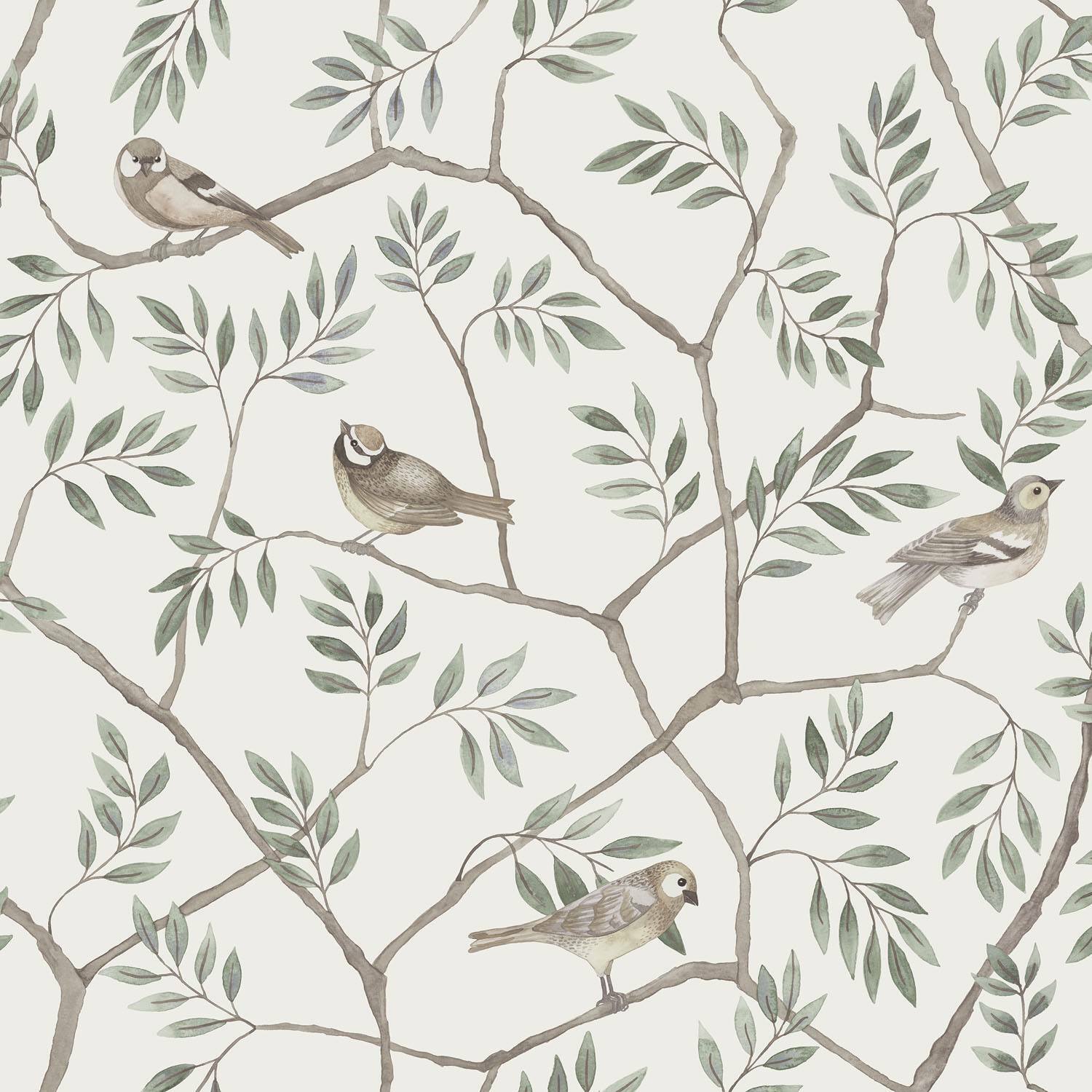 August - Dusty Green & Brown