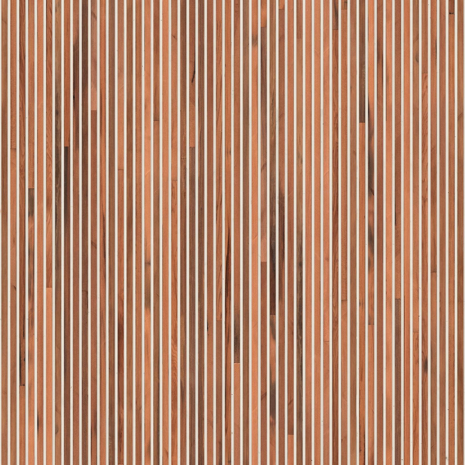 Timber Strips - Teak on white