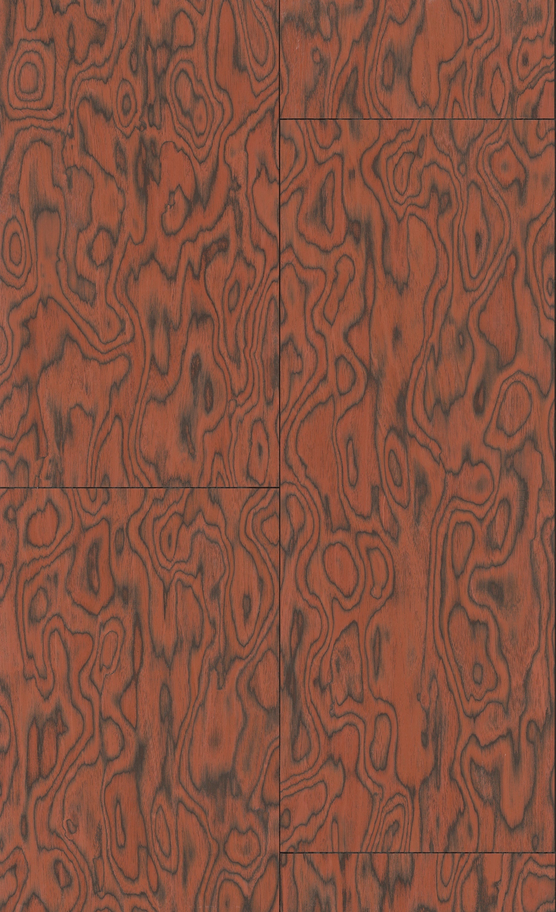 COTI - Fire Orange