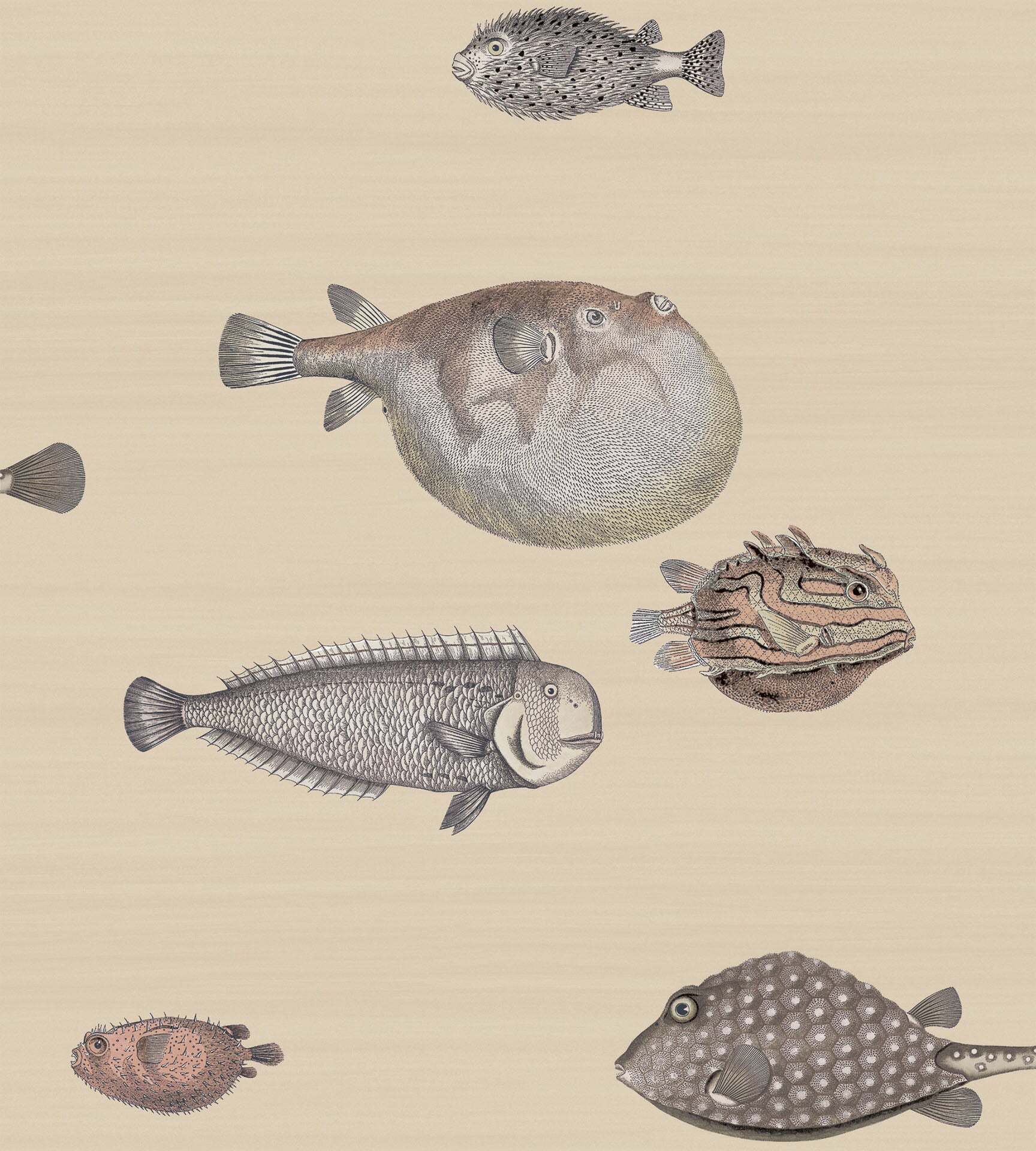 Acquario - Beige