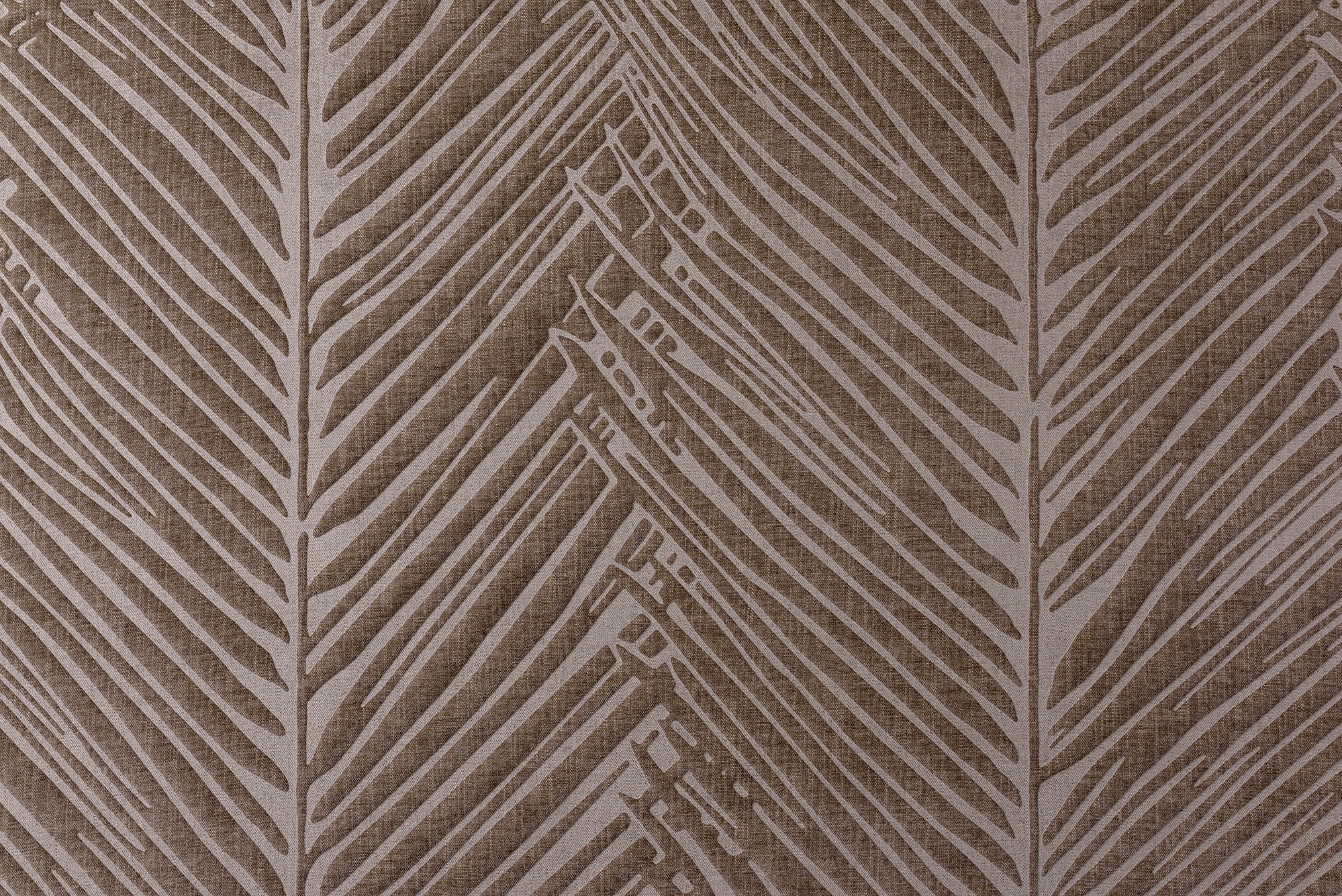 Palma - Bark