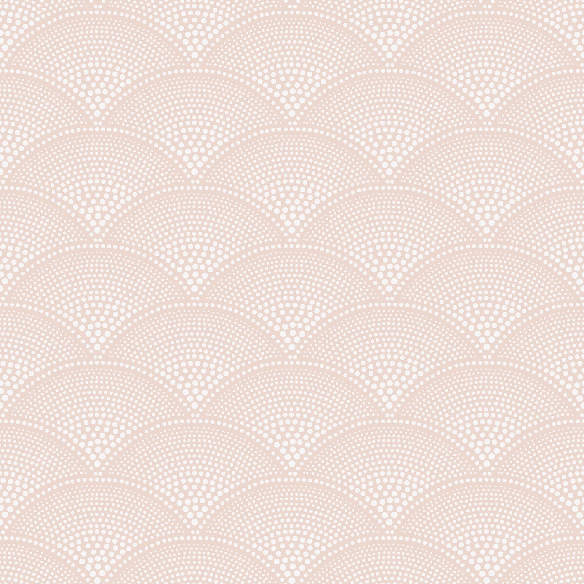 Feather Fan - Ballet Slipper