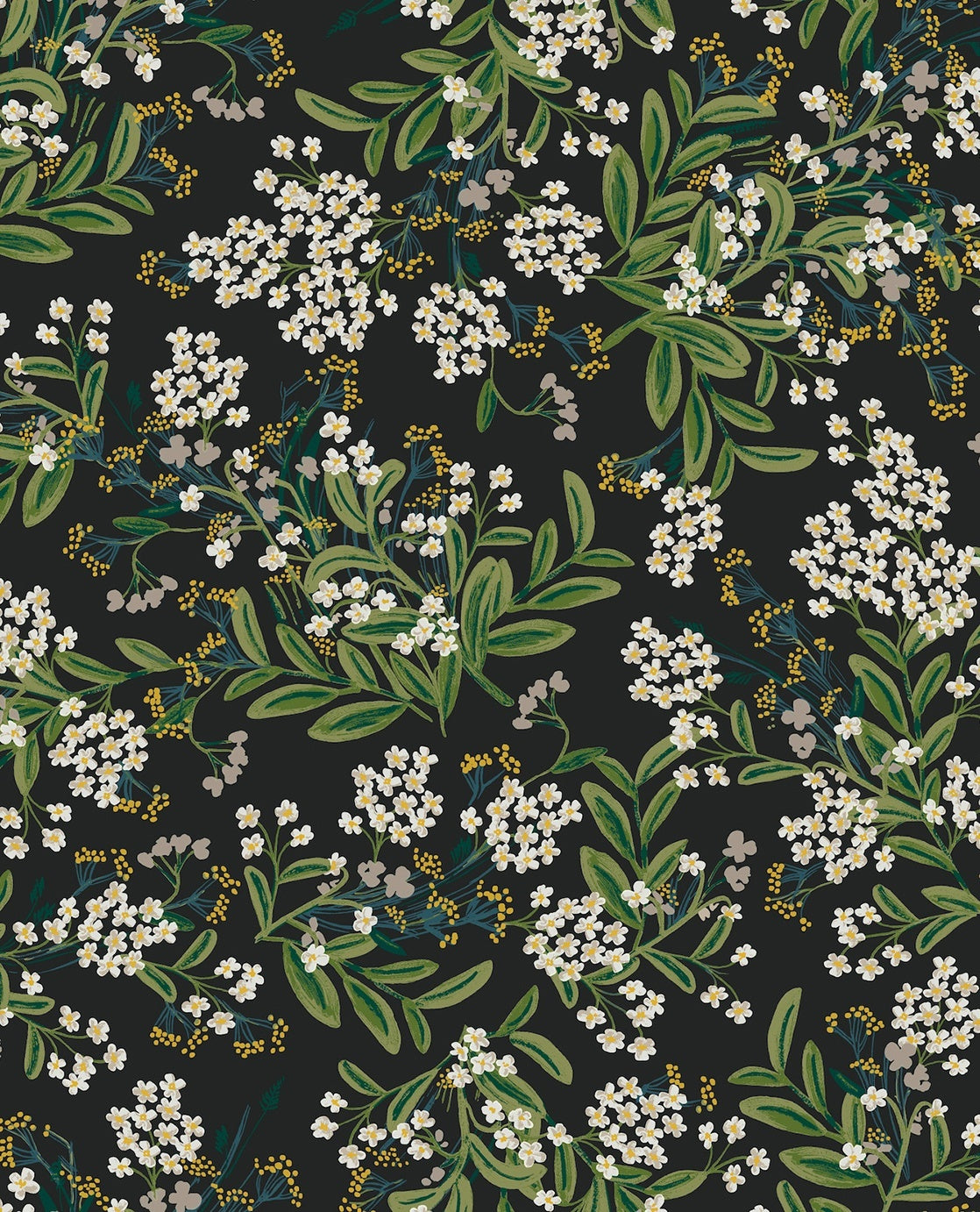 Cornflower - Black