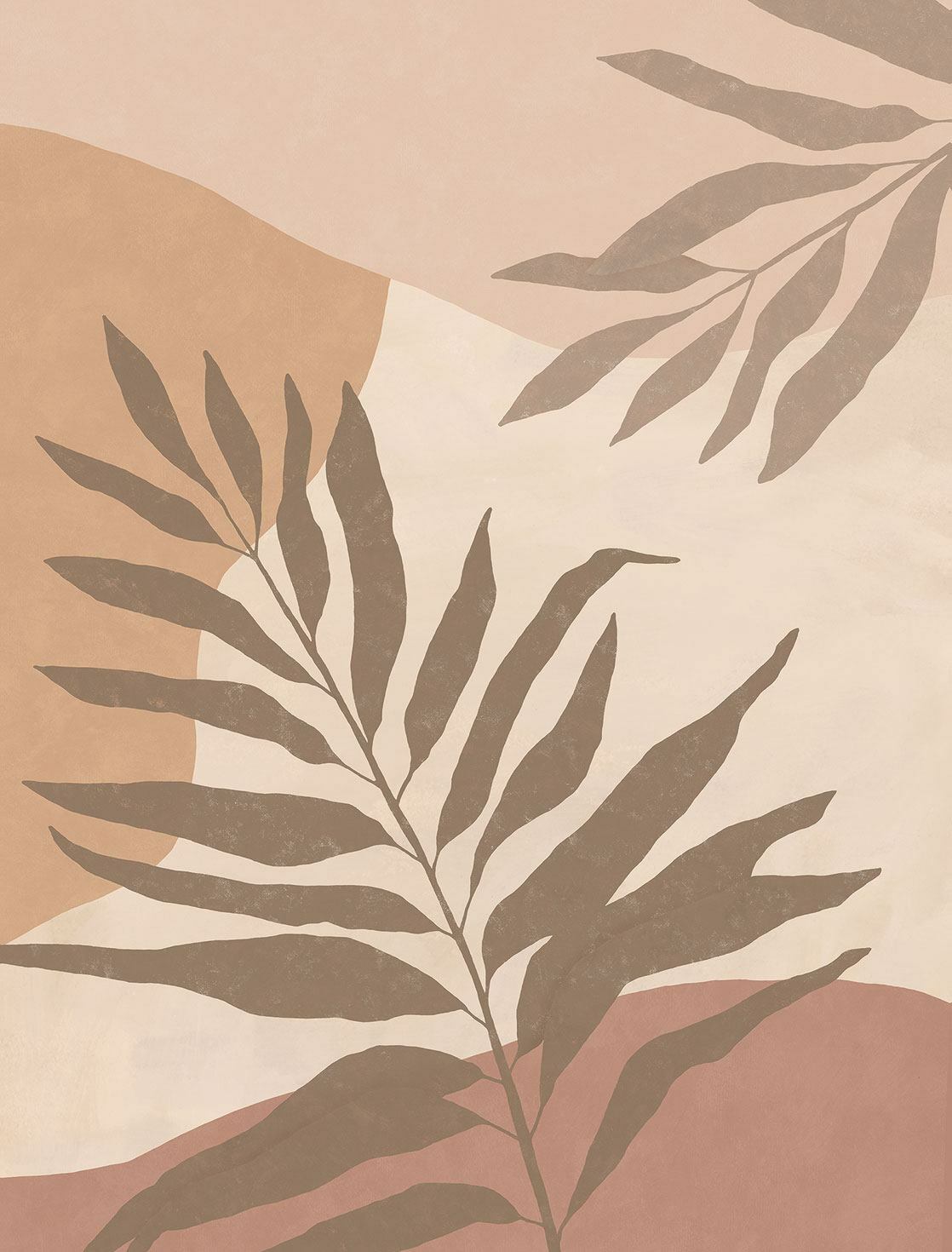 Fern - Rose