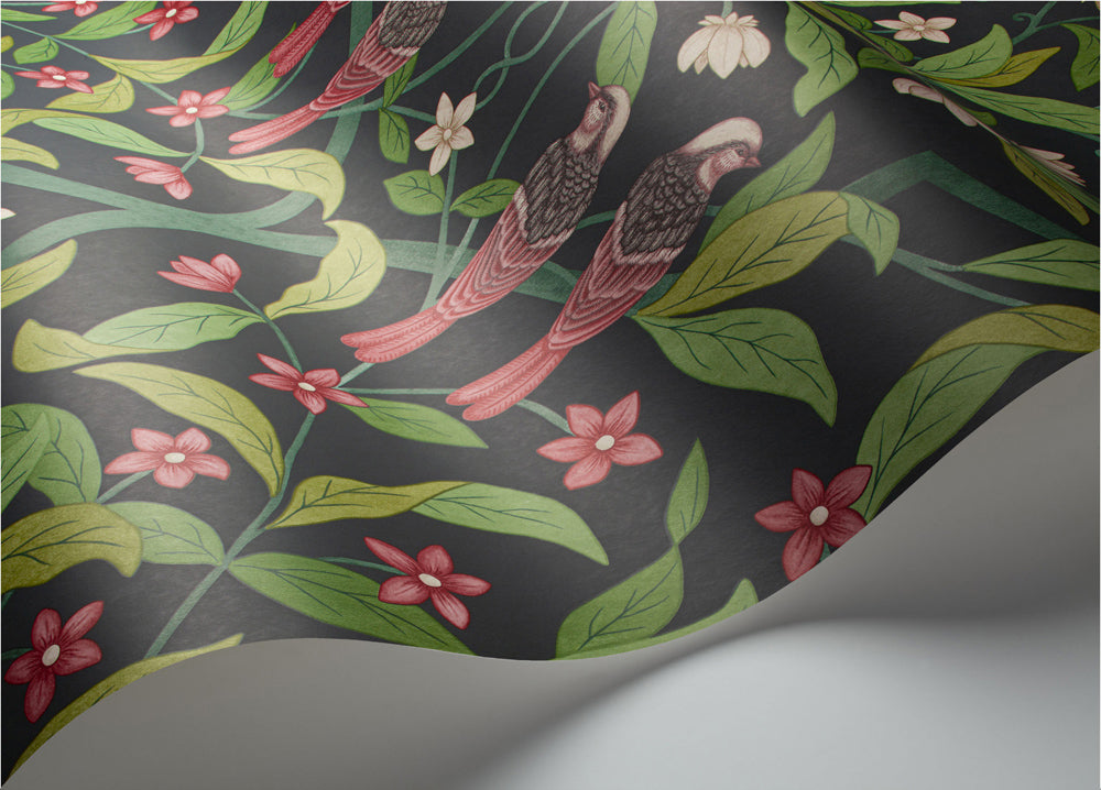 Jasmine & Serin Symphony - Rose & Racing Car Green