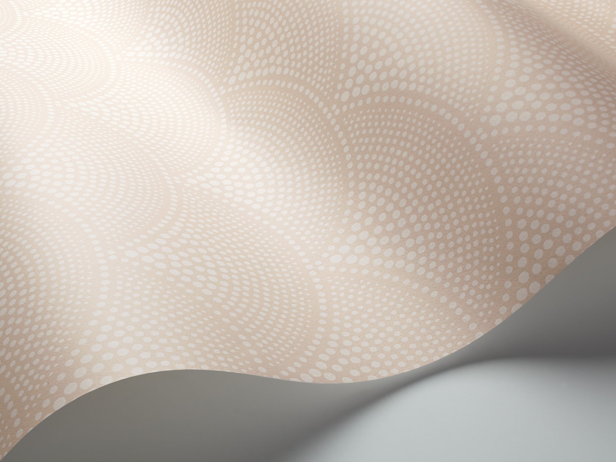 Feather Fan - Ballet Slipper