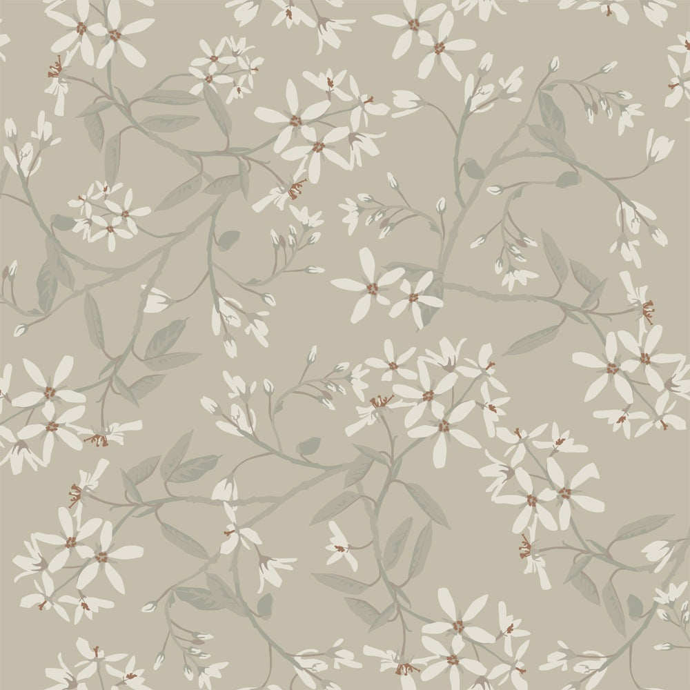Paradis - Grey