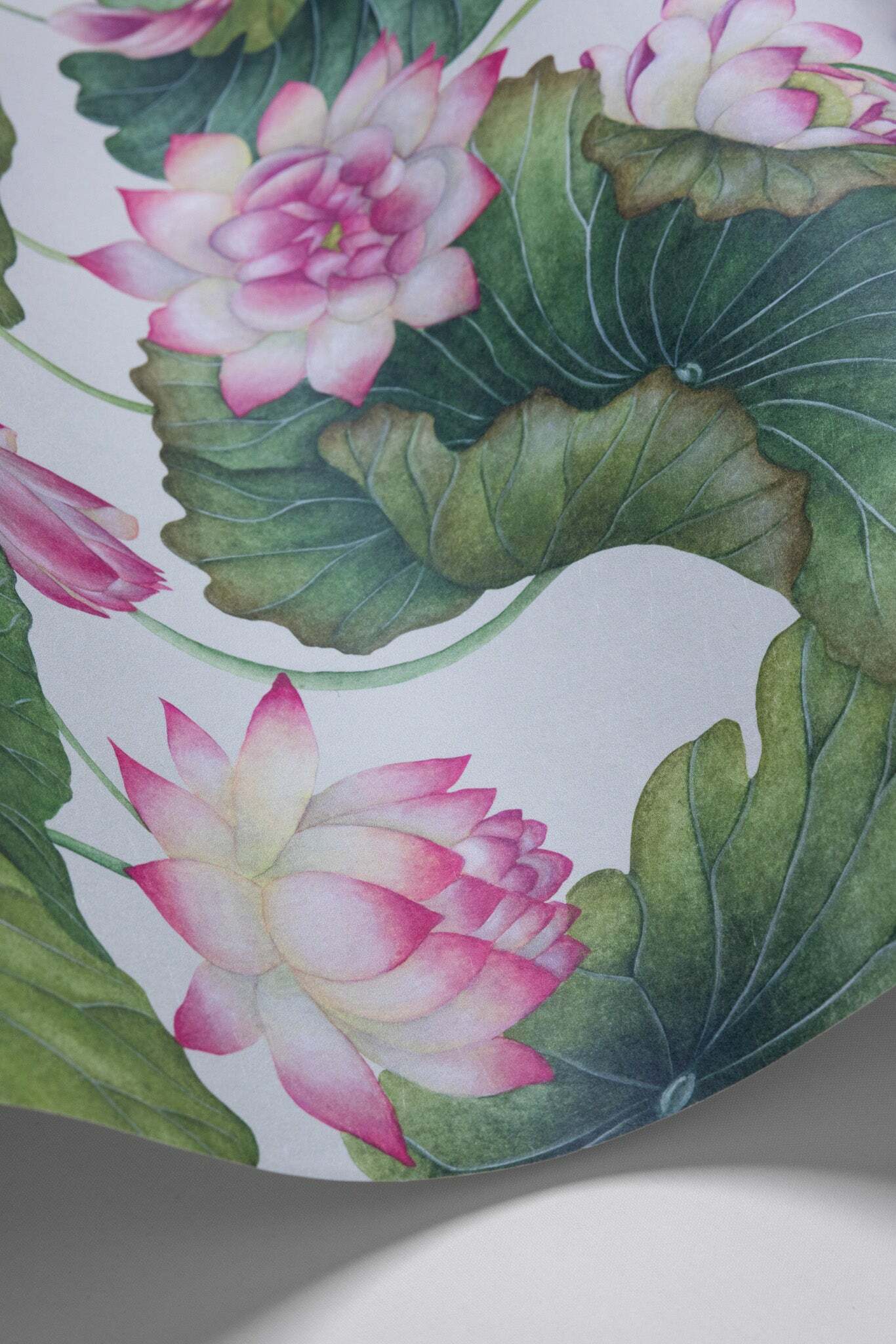 Lily Lotus - Pink & White